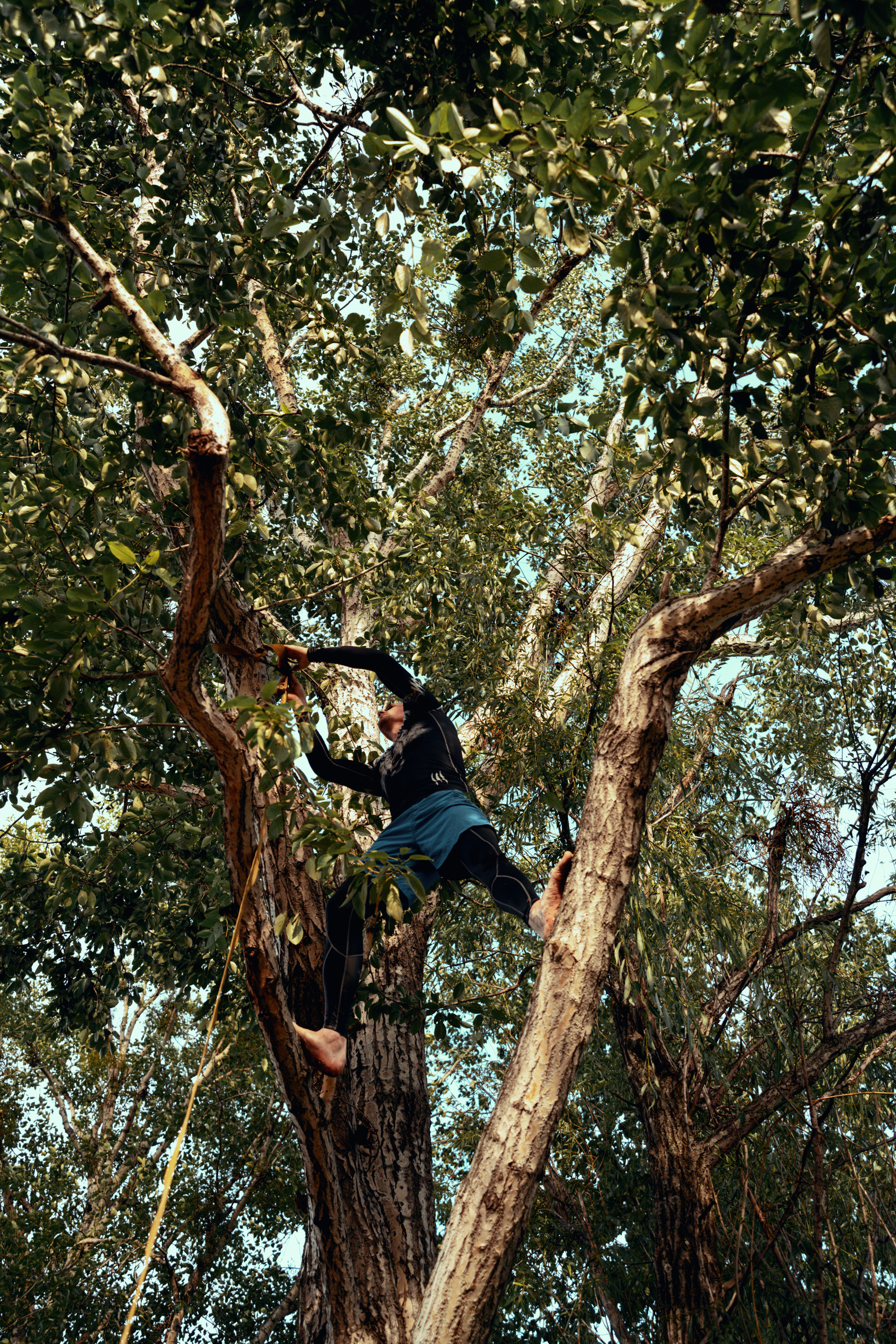 Портфолио. Фотограф в Хабаровске. Фотография за 24 часа