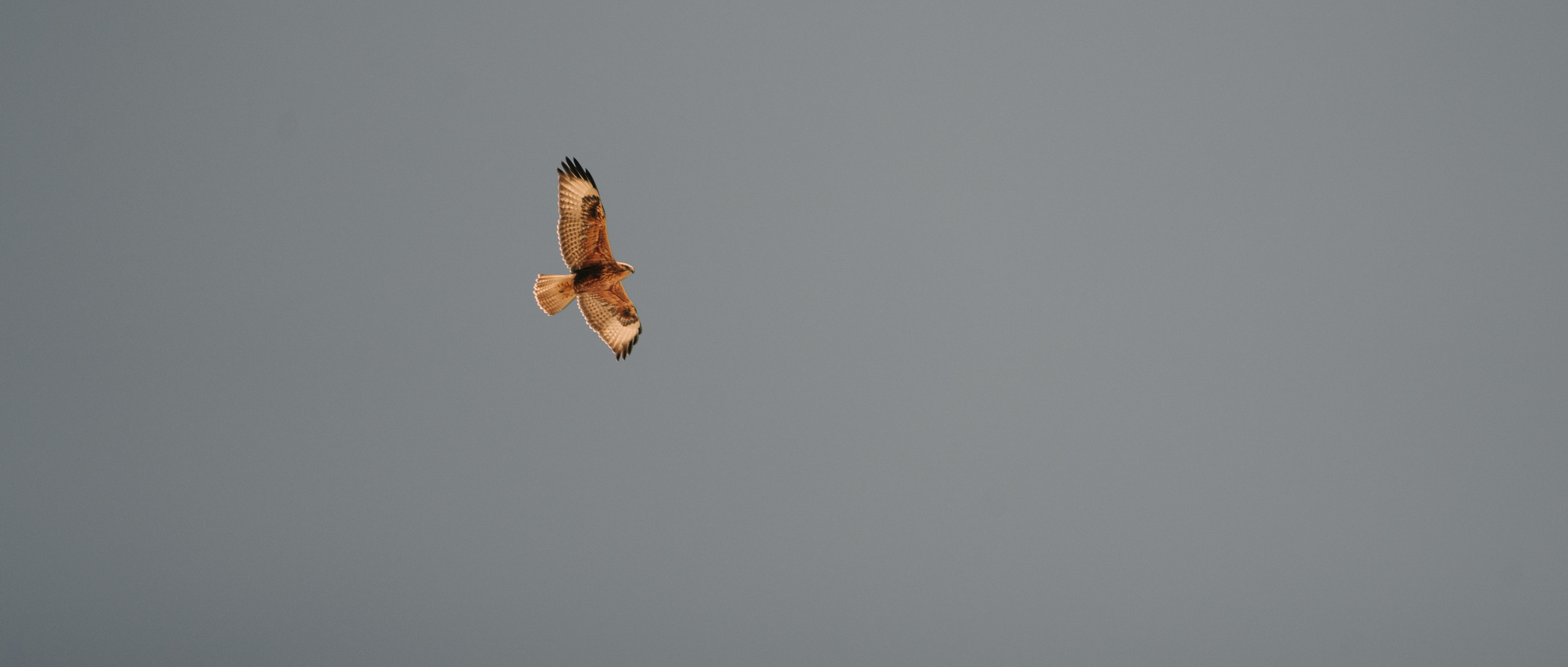 Путешествия. Фотограф в Хабаровске. Фотография за 24 часа
