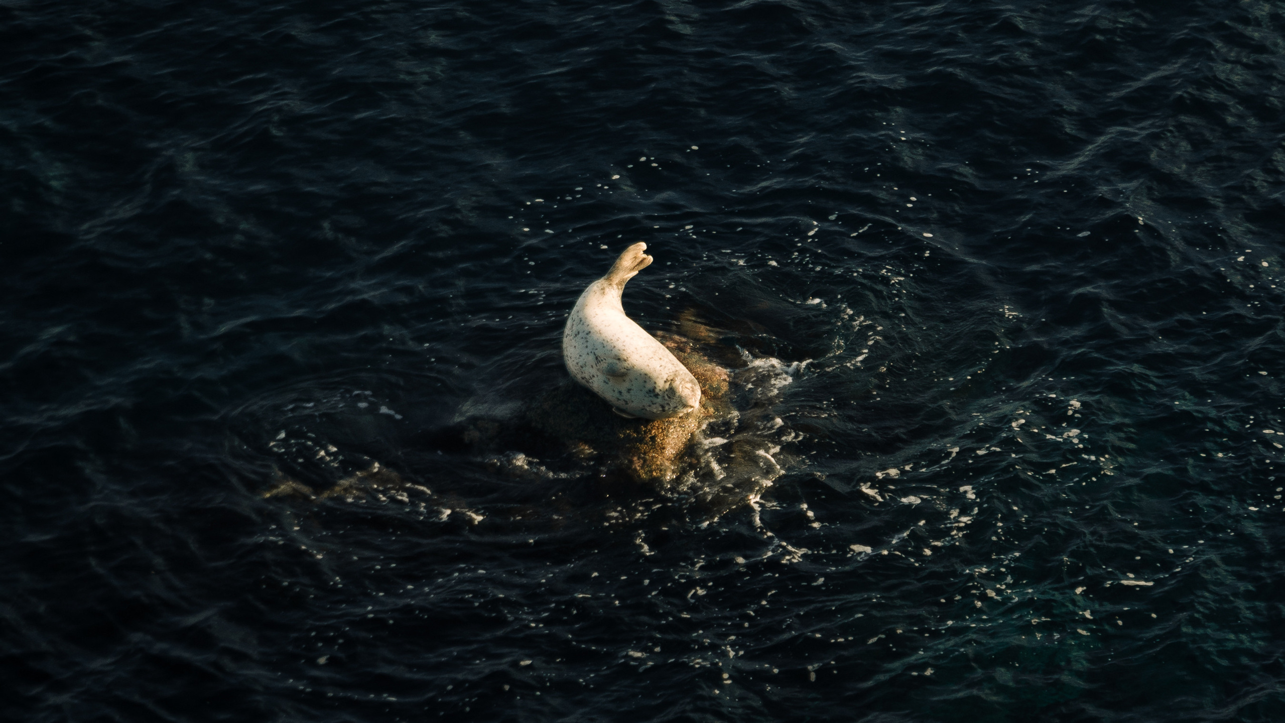 Путешествия. Фотограф в Хабаровске. Фотография за 24 часа