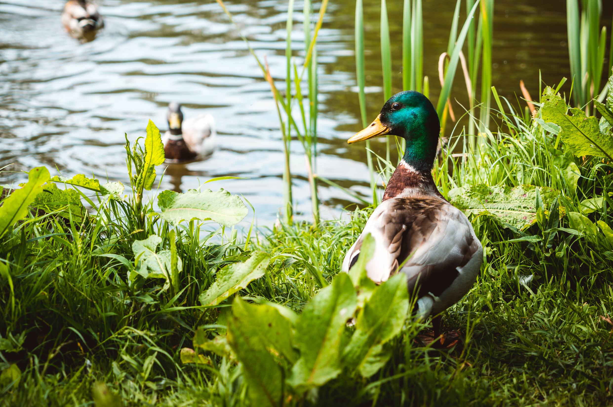Путешествия. Фотограф в Хабаровске. Фотография за 24 часа