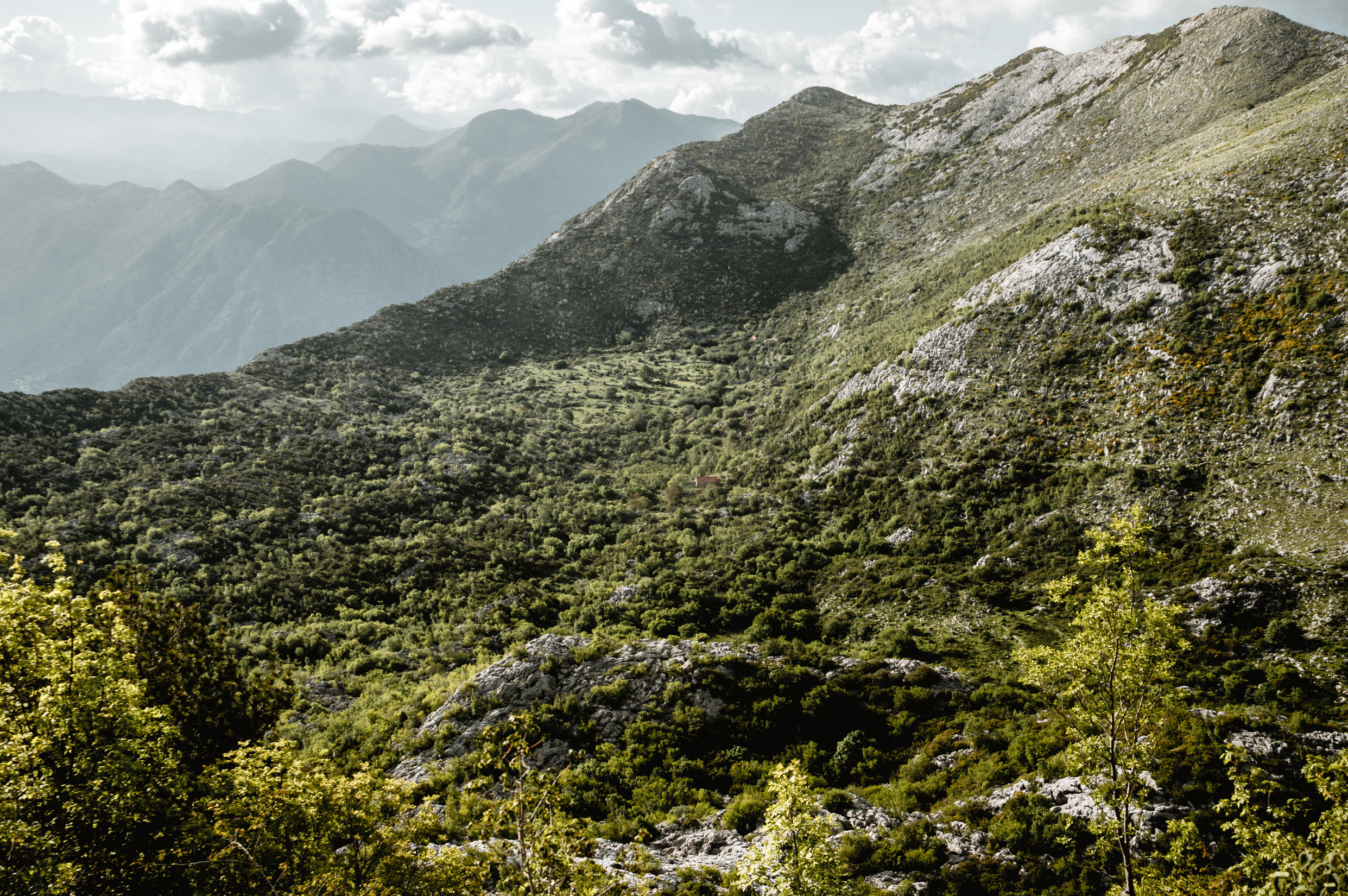 Портфолио. Фотограф в Хабаровске. Фотография за 24 часа