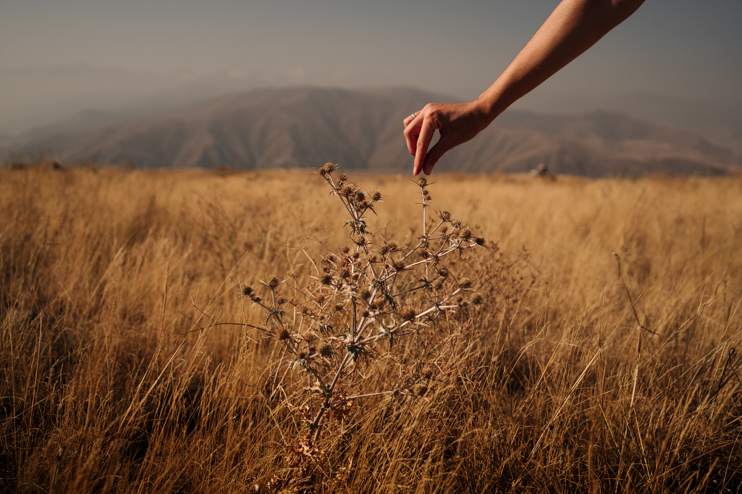 Путешествия. Фотограф в Хабаровске. Фотография за 24 часа