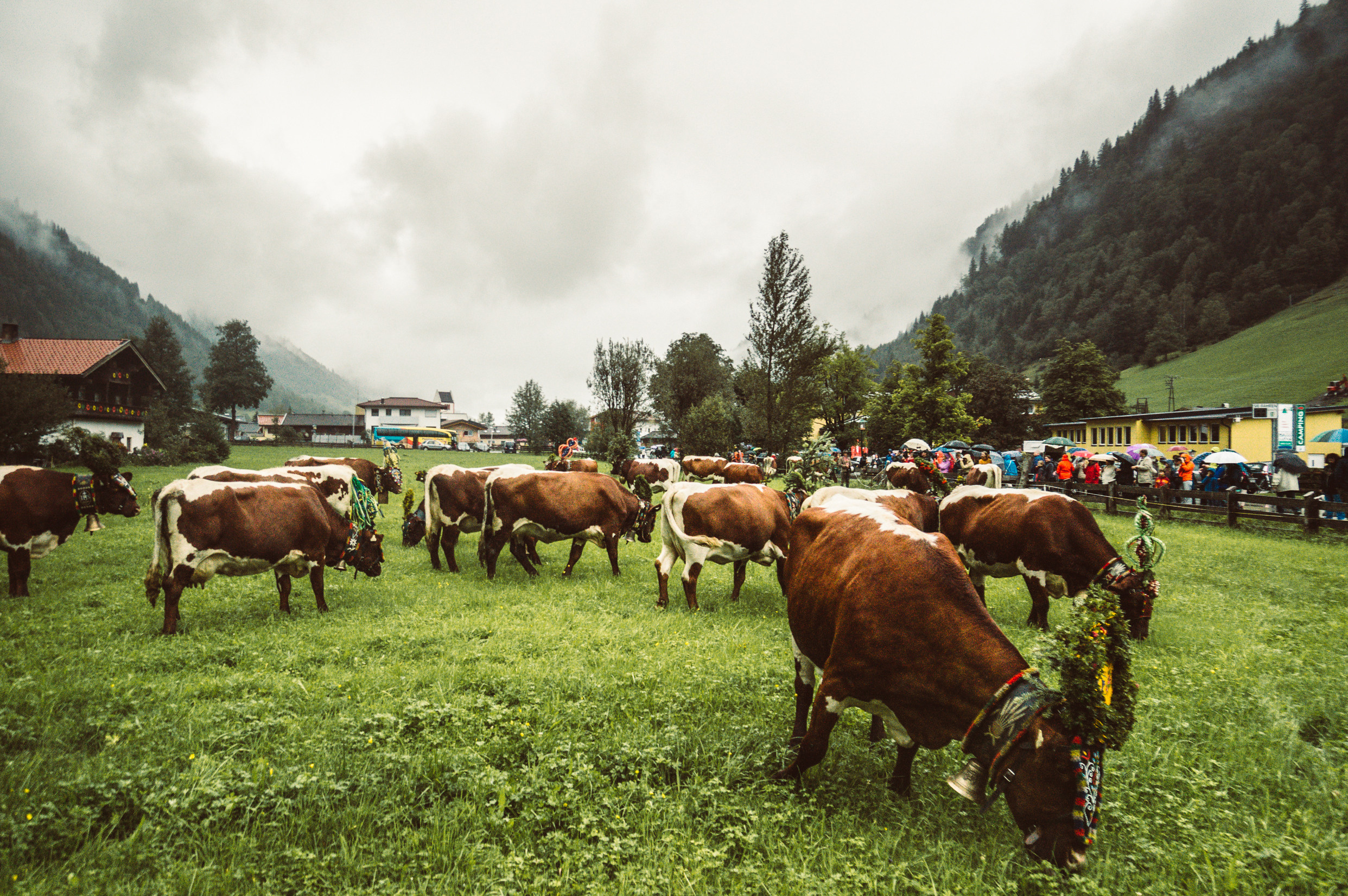 Путешествия. Фотограф в Хабаровске. Фотография за 24 часа