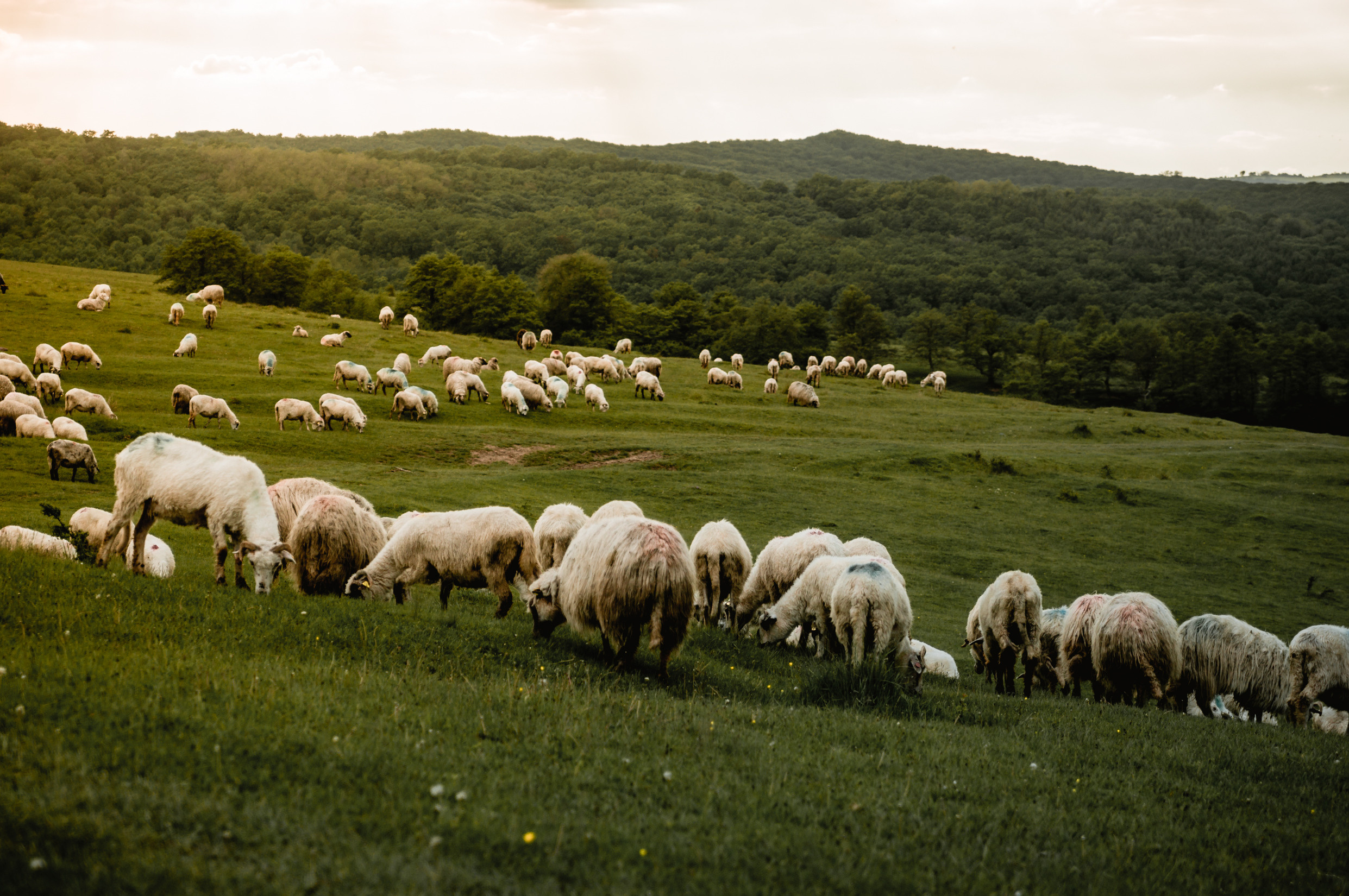 Путешествия. Фотограф в Хабаровске. Фотография за 24 часа