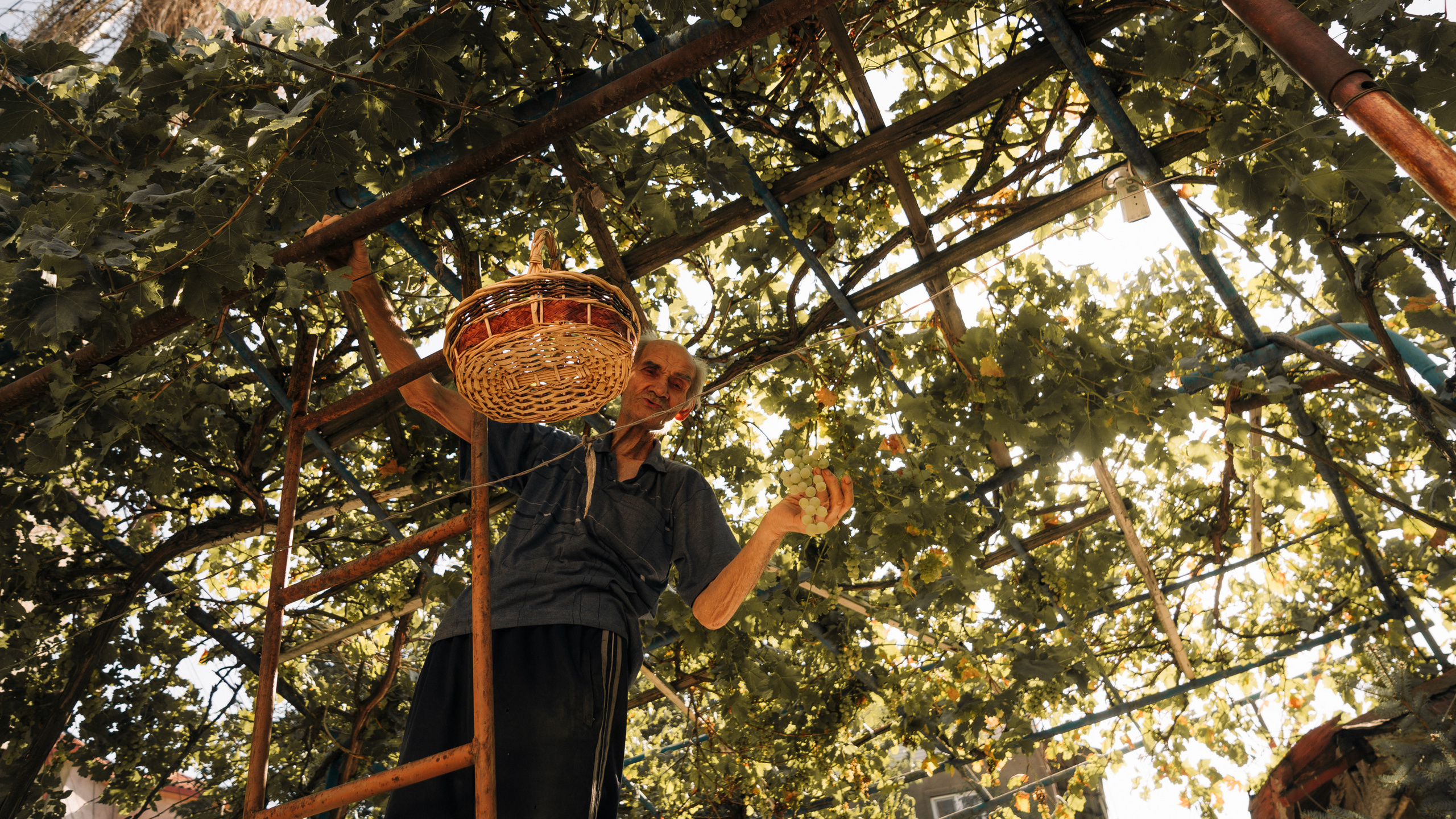 Путешествия. Фотограф в Хабаровске. Фотография за 24 часа