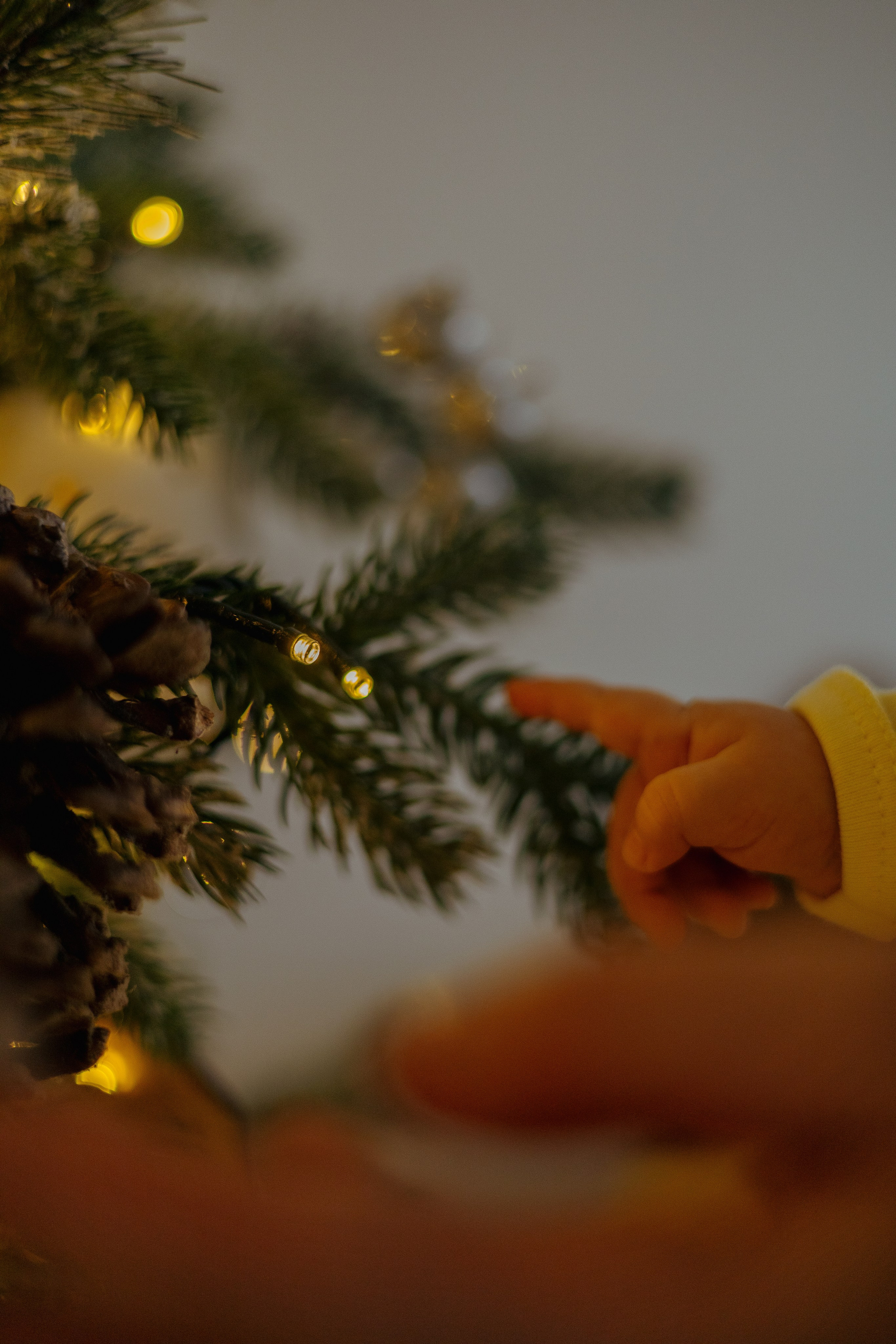 Регина, Ильдар, Тимур, Арина и Мира. Главная