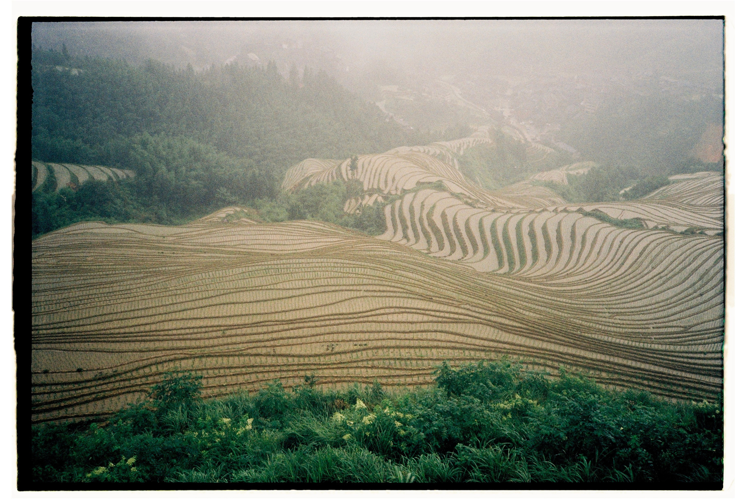 Asia. Olya Filina | Moscow Photographer