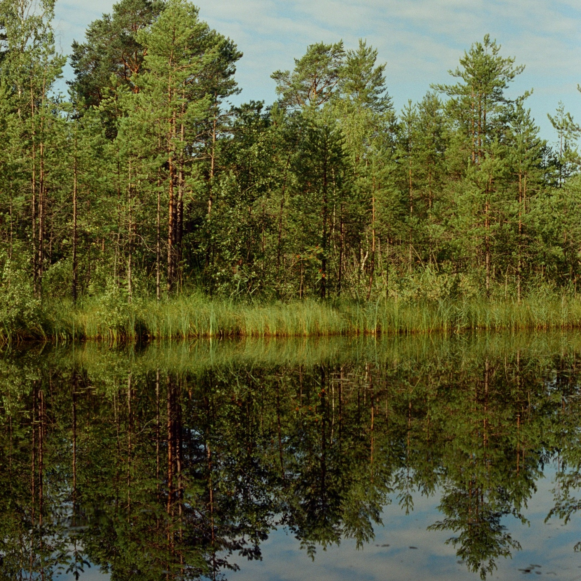 Film photos. Creative travel photographer — Berg Daria