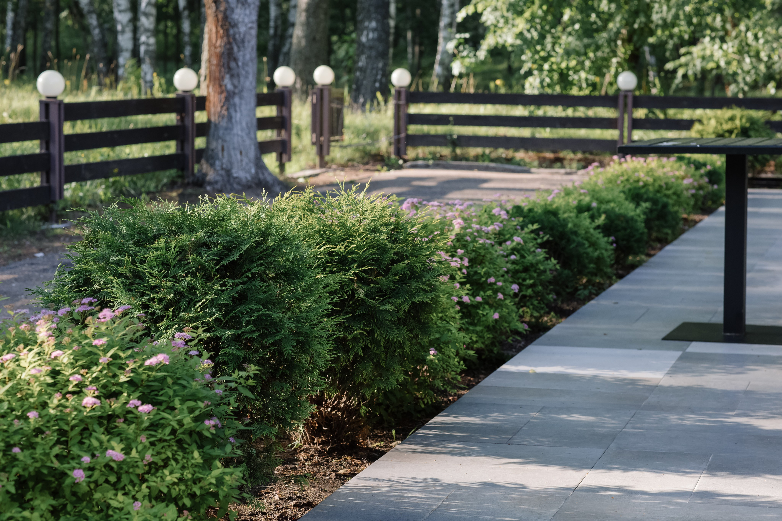 Никита/Анастасия. Свадебный фотограф