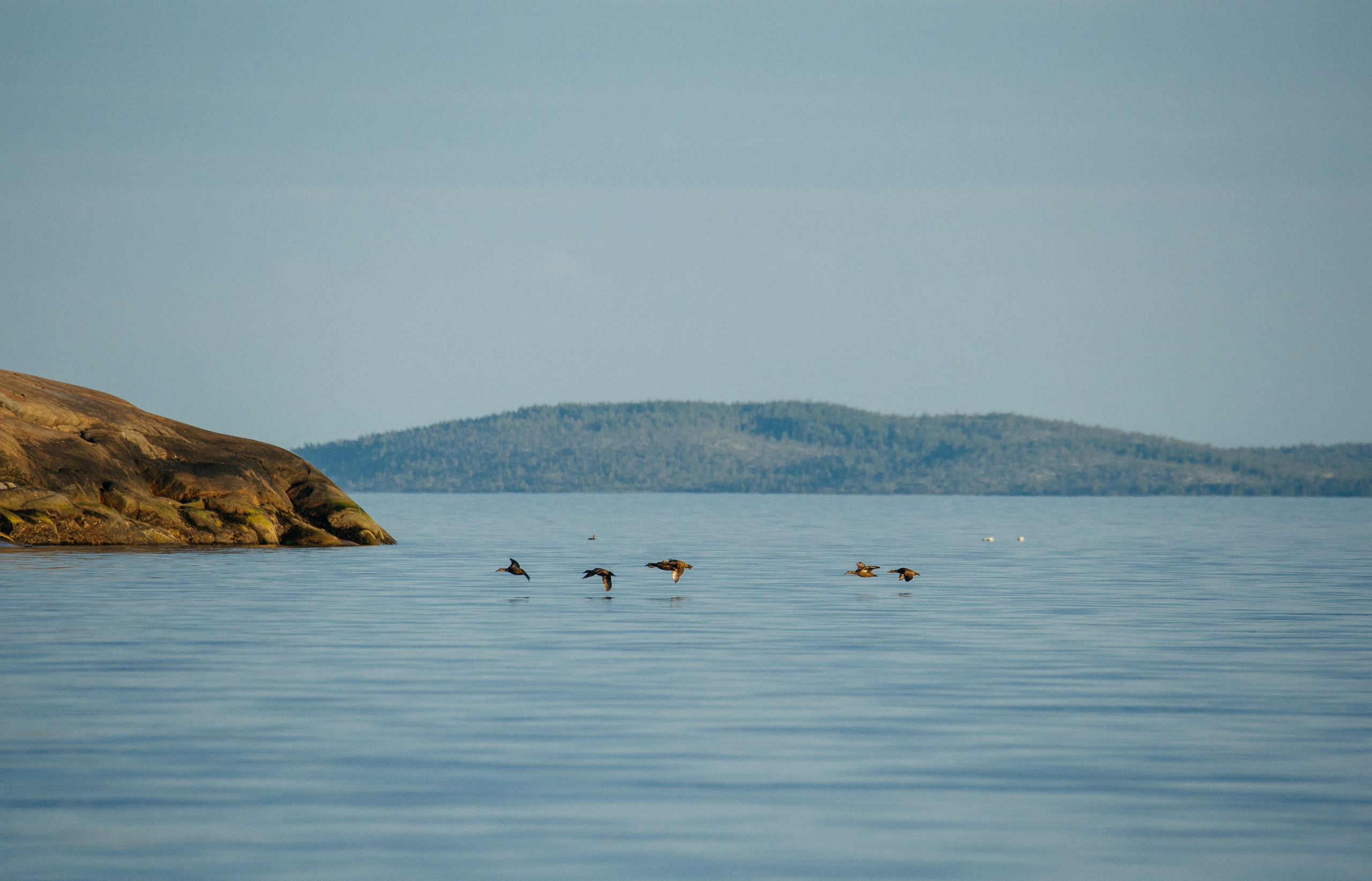 ЭТНОПАРК ГЕОГРАФИКА. Создание контента | Фото | Видеосъемка | Александр Ярков
