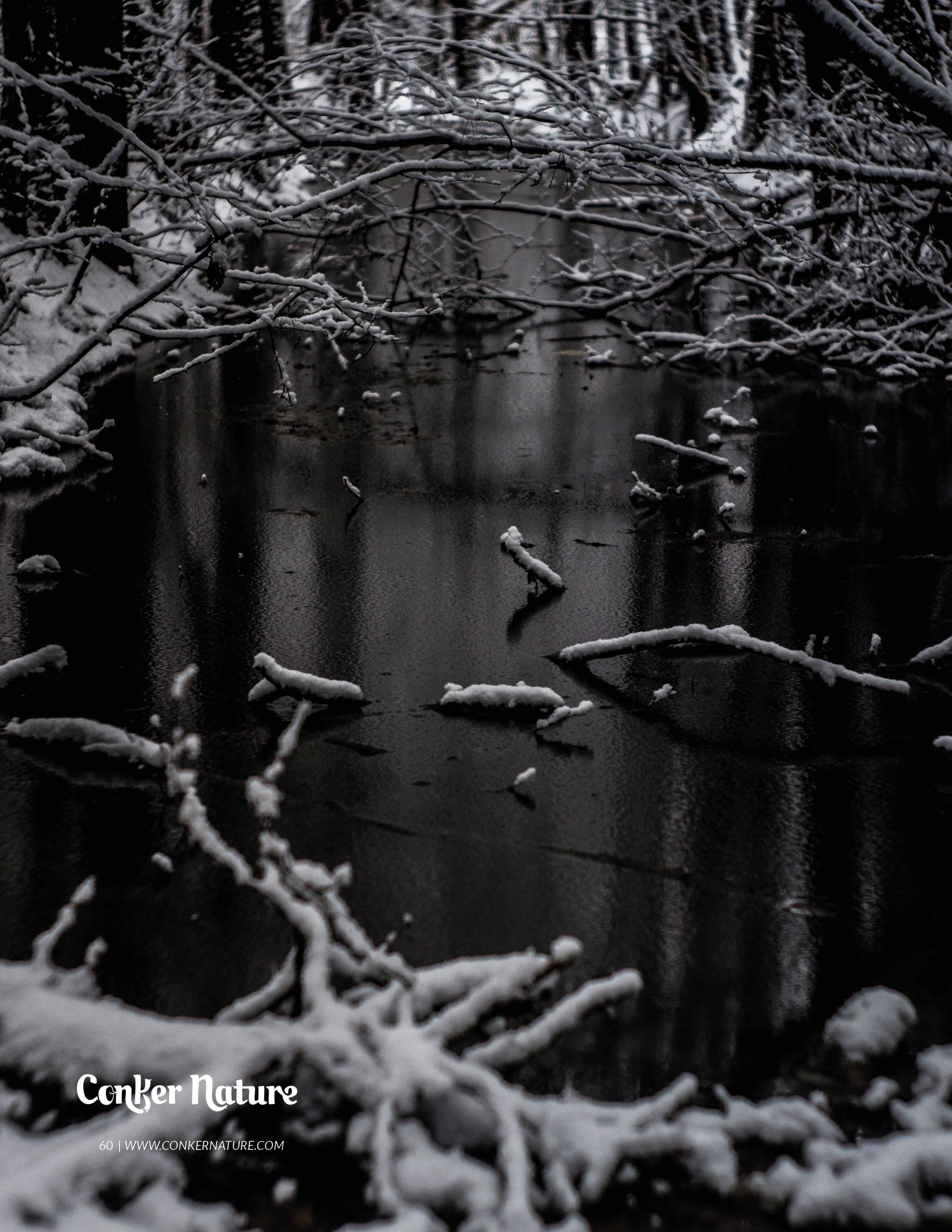 My publications in printed publications, magazines. Фотограф (photographer) Lischinski Vitaliy