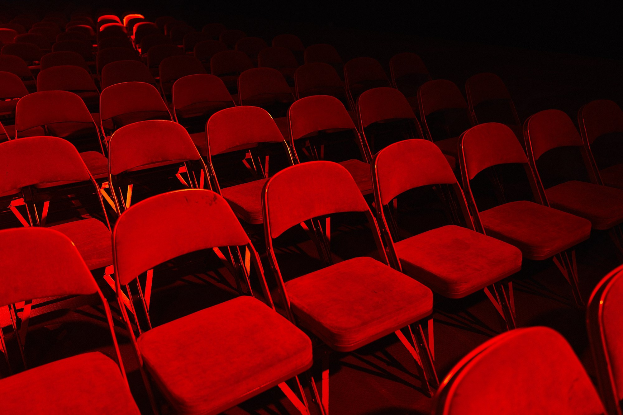 Альфа-Конфа. Фотограф в Хабаровске