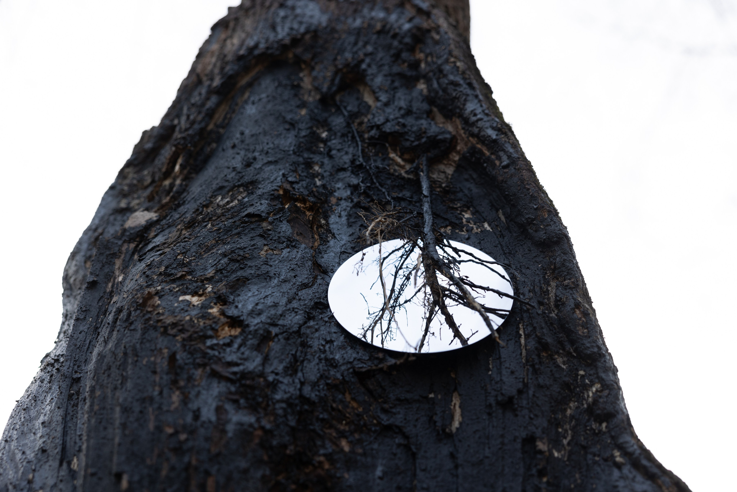 Точка сборки | The assembly point. Фотограф алина стерхова, алина стерхова фотограф, фотограф москва