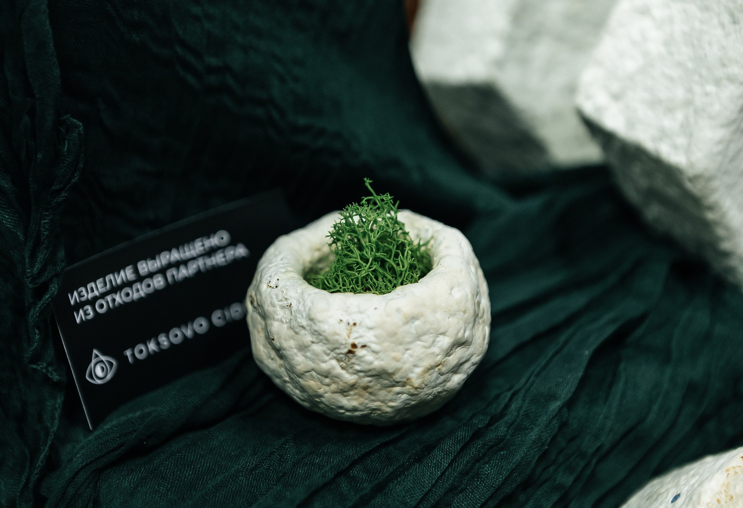 Репортажи. Репортажный и свадебный фотограф в Санкт-Петербурге Романов Вадим