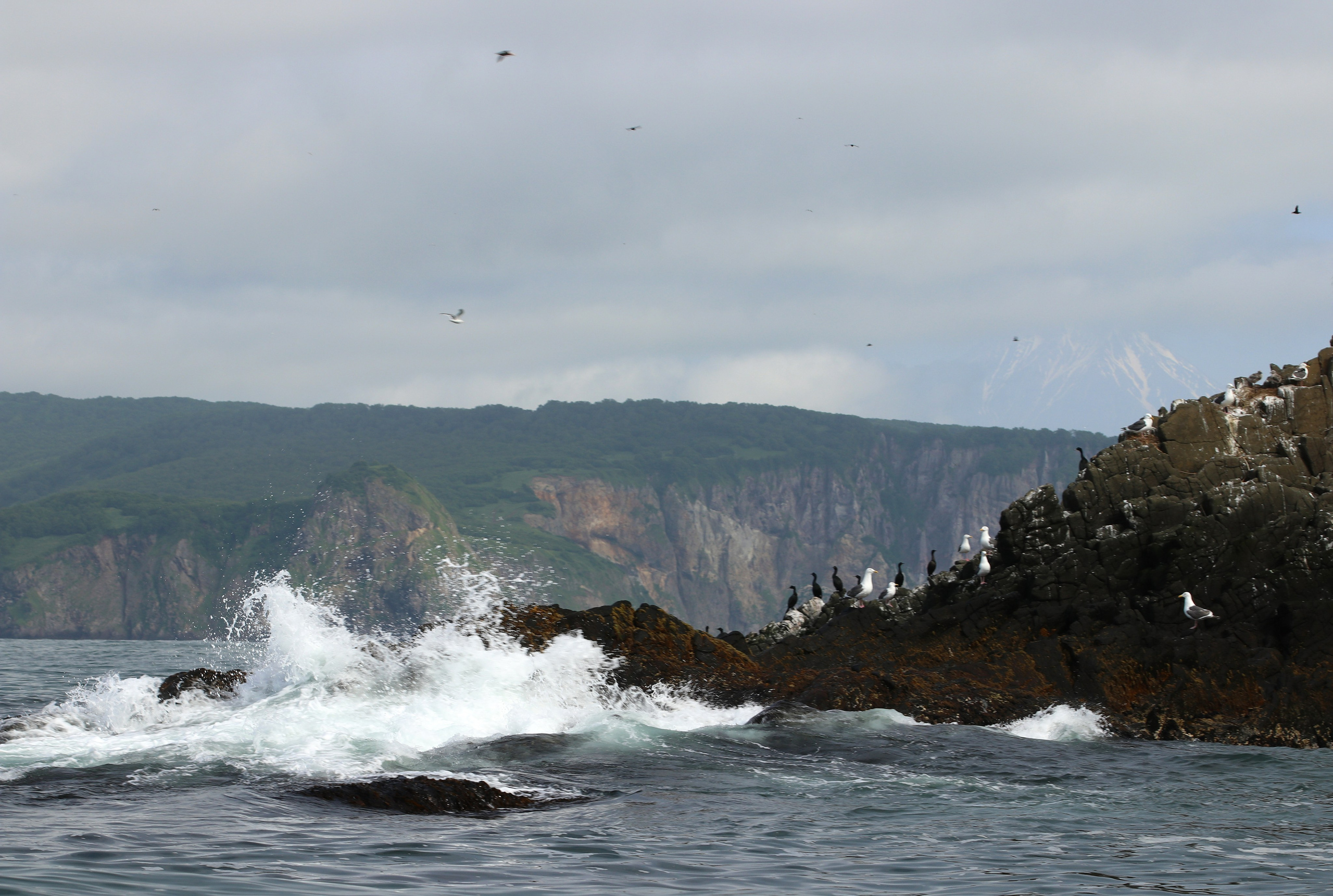 Камчатка и о. Парамушир. Июль 2024. Путешественник-фотограф из Санкт-Петербурга Татьяна Свистулина