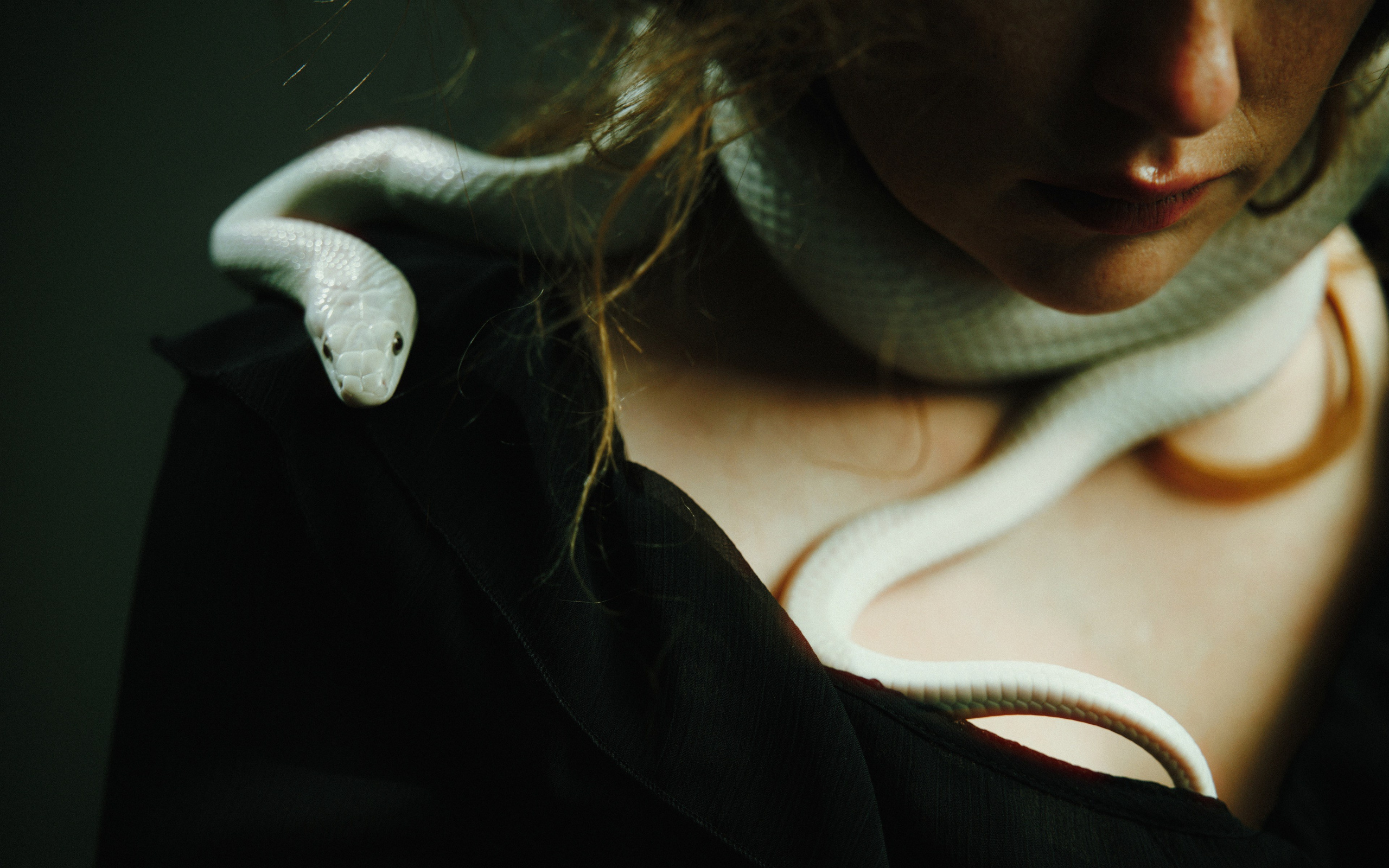 Творчество. Антон Ермаков | Коммерческий фотограф в Москве