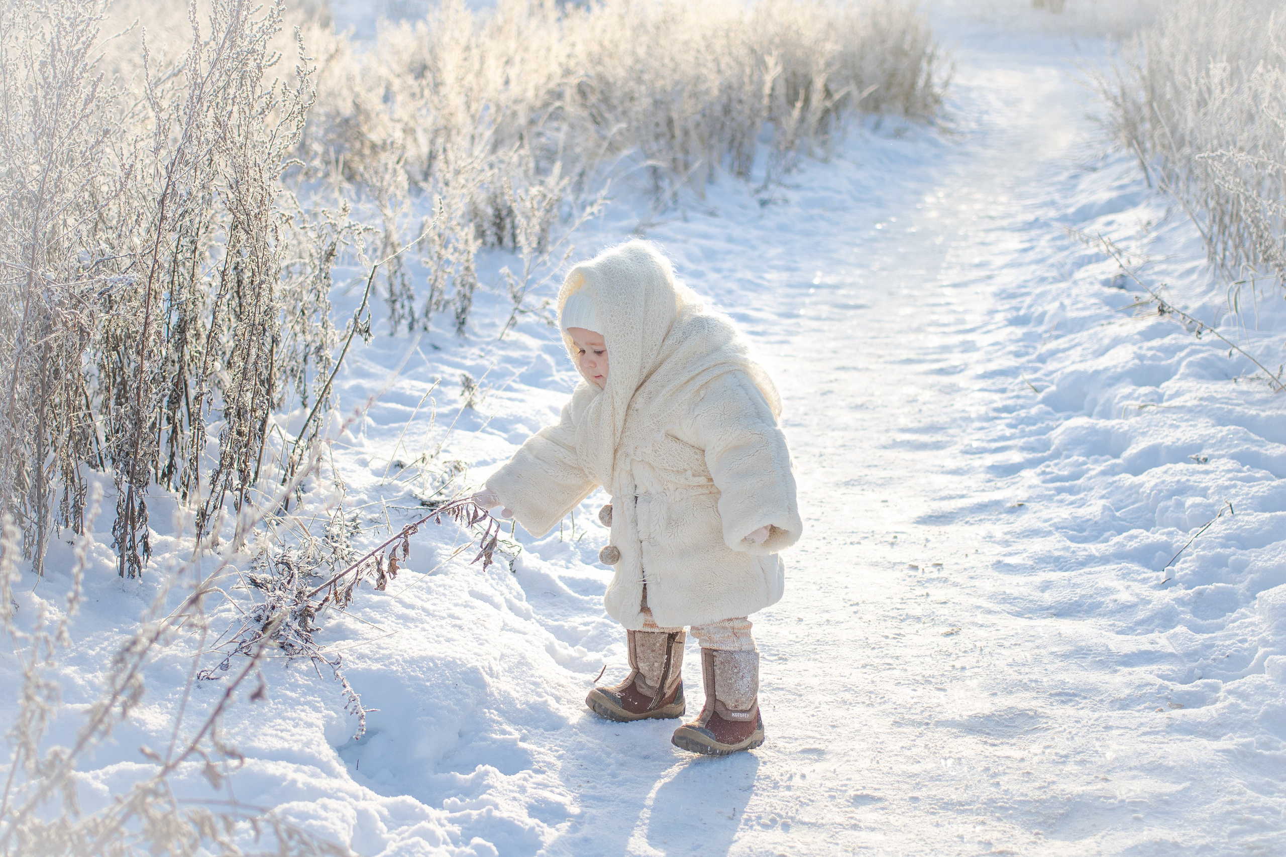 АЛЬБОМ «Фото прогулка». Фотограф Анна Невская