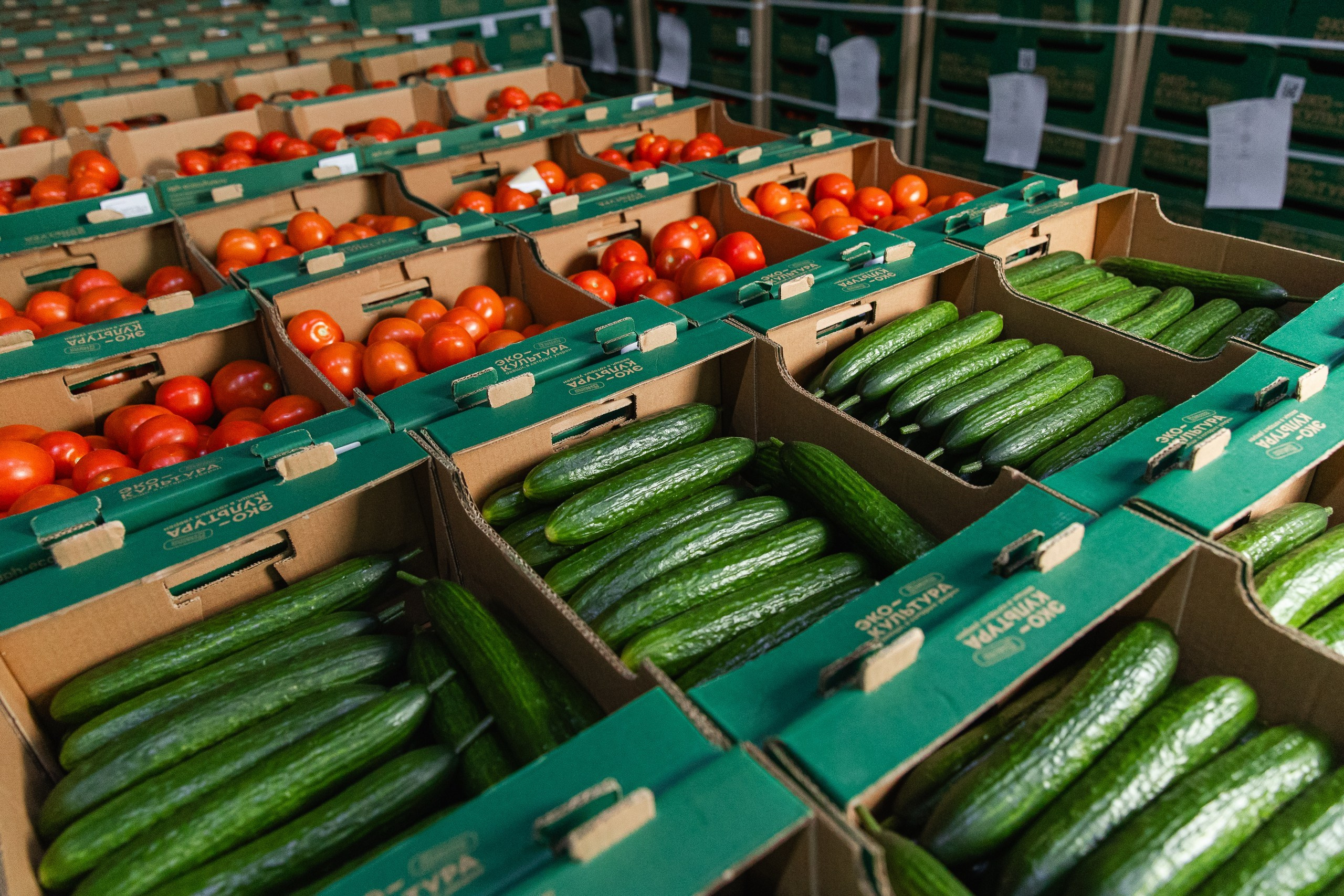 Производство. Фотограф Николай Петрушкин | Ставрополь, Москва