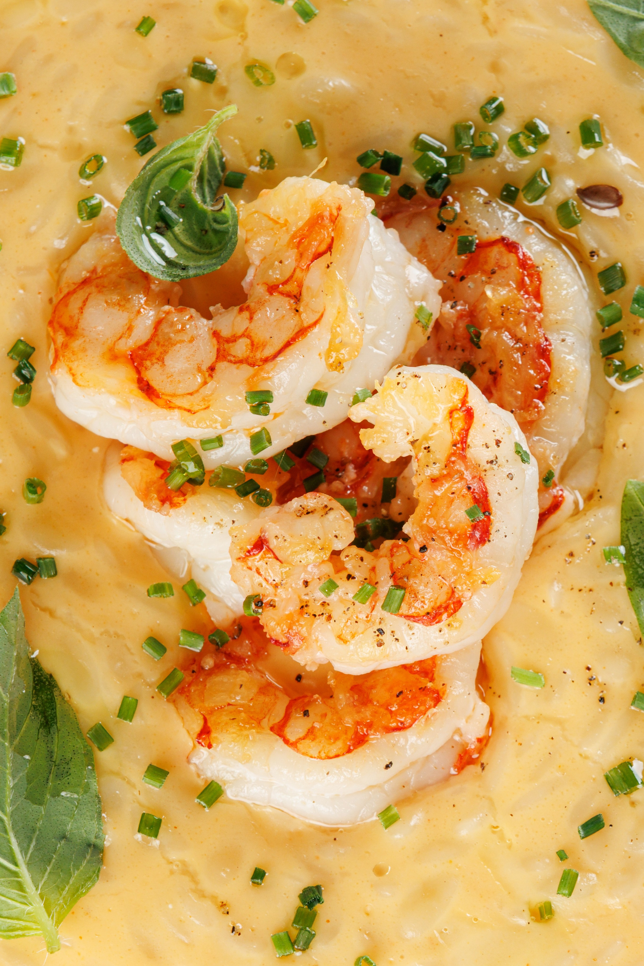 Soul Baby. Репортажный фотограф в Санкт-Петербурге Жолудев Владислав