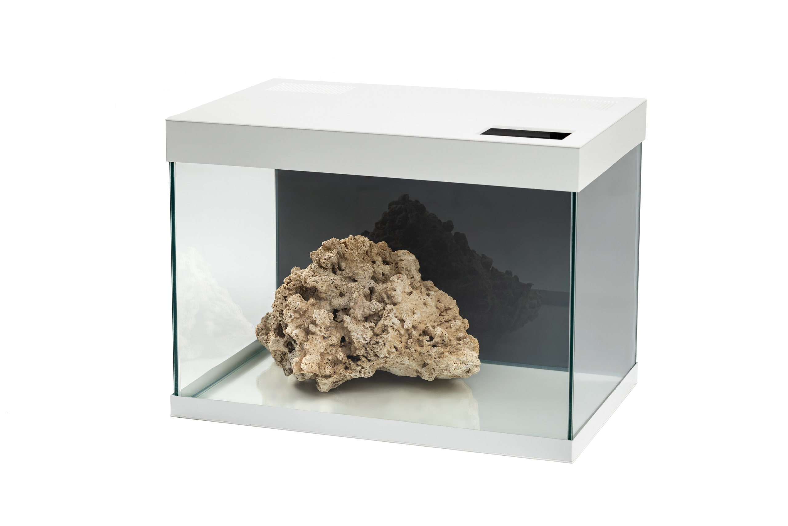 Аквариум. Предметный фотограф в Краснодаре Вера Капитанова. Предметная съёмка