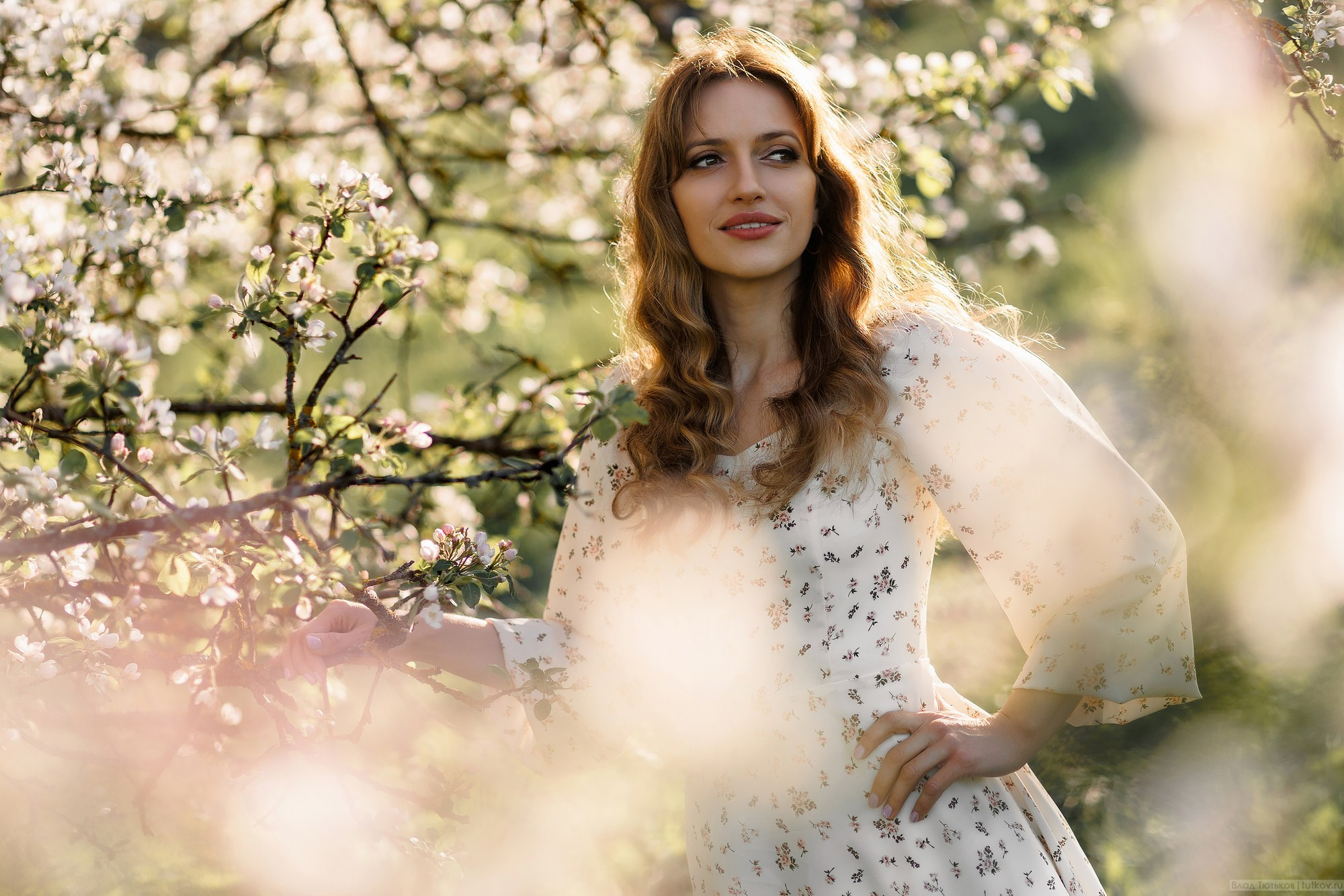 Семейные. Свадебная фотосъёмка в Брянске | Влад и Ирина Тютьковы