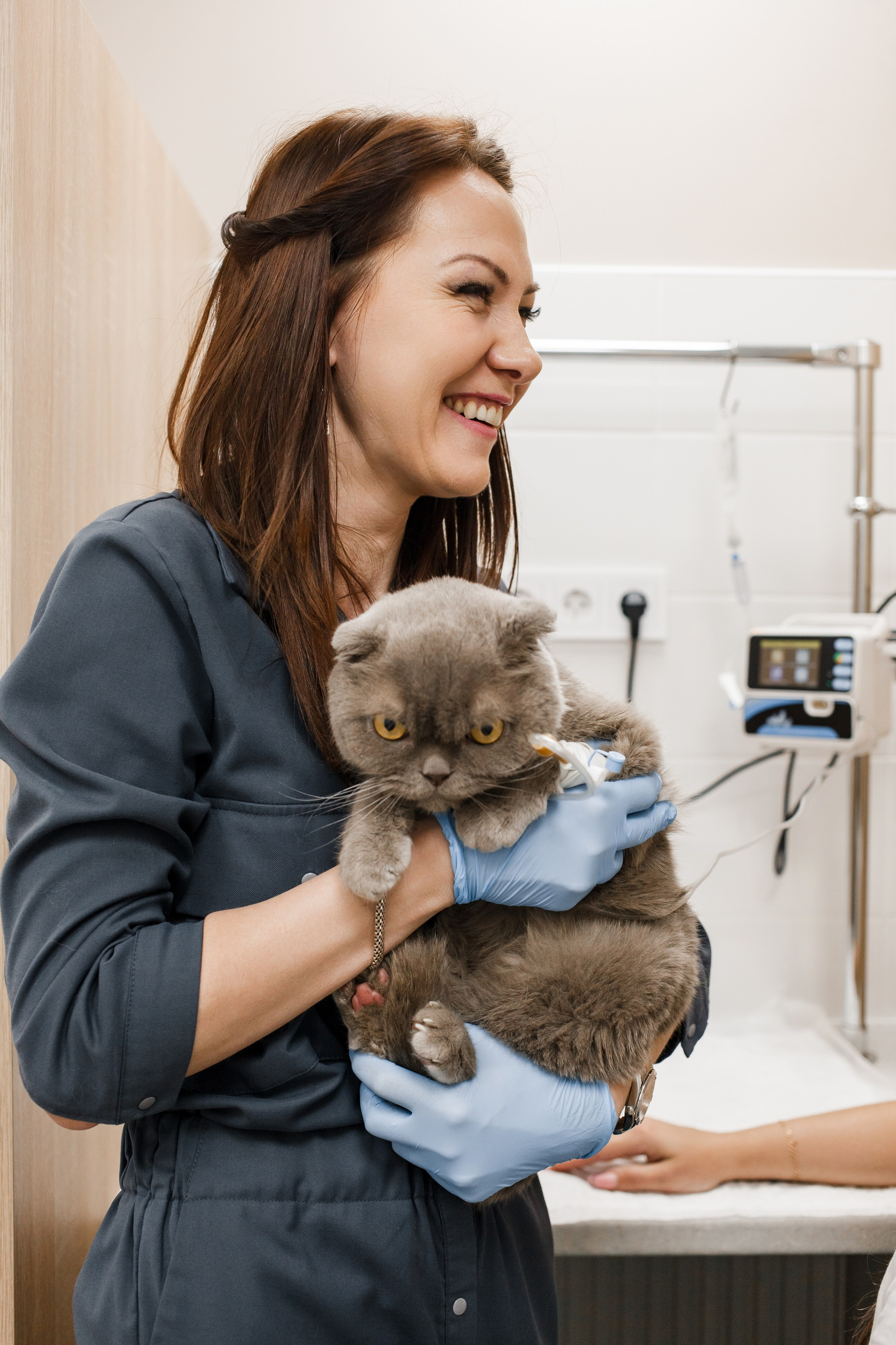 Контентная съемка для ветеринаркой клиники. КОНТЕНТ ФОТОГРАФ