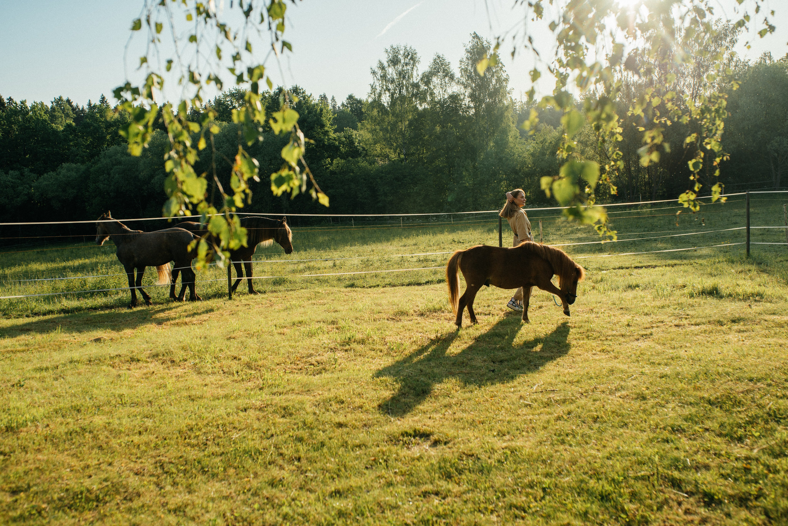 Ира. Семейный фотограф Клубкова Мария. Поместье Клу