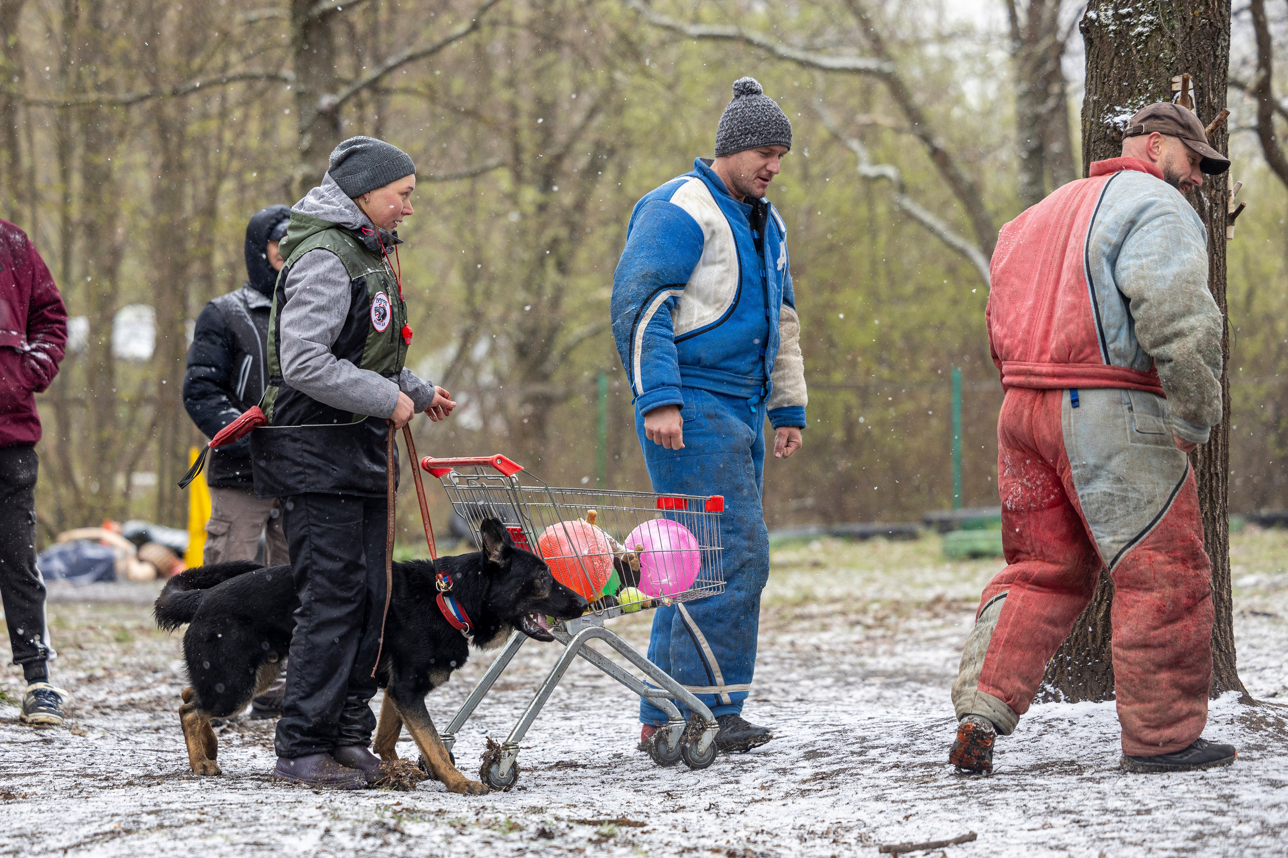 Квалификационные состязания по мондьорингу г. Вологда 11.05.24. Фотограф-анималист Анна Маринич