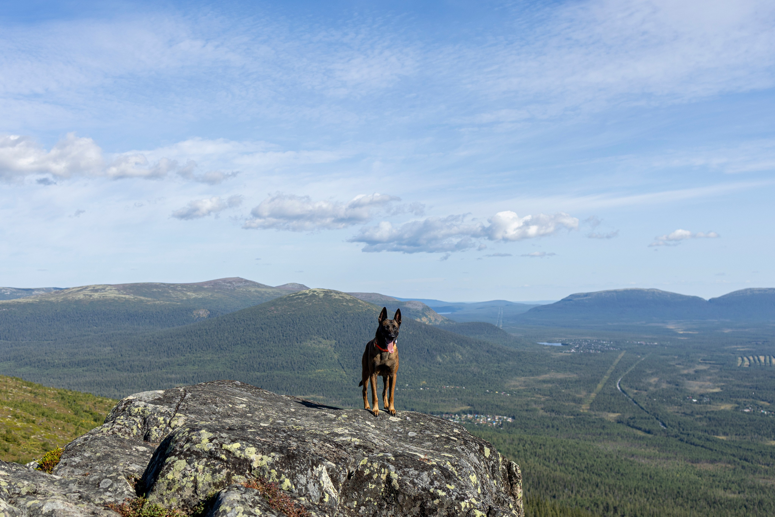 Горы. Фотограф-анималист Анна Маринич