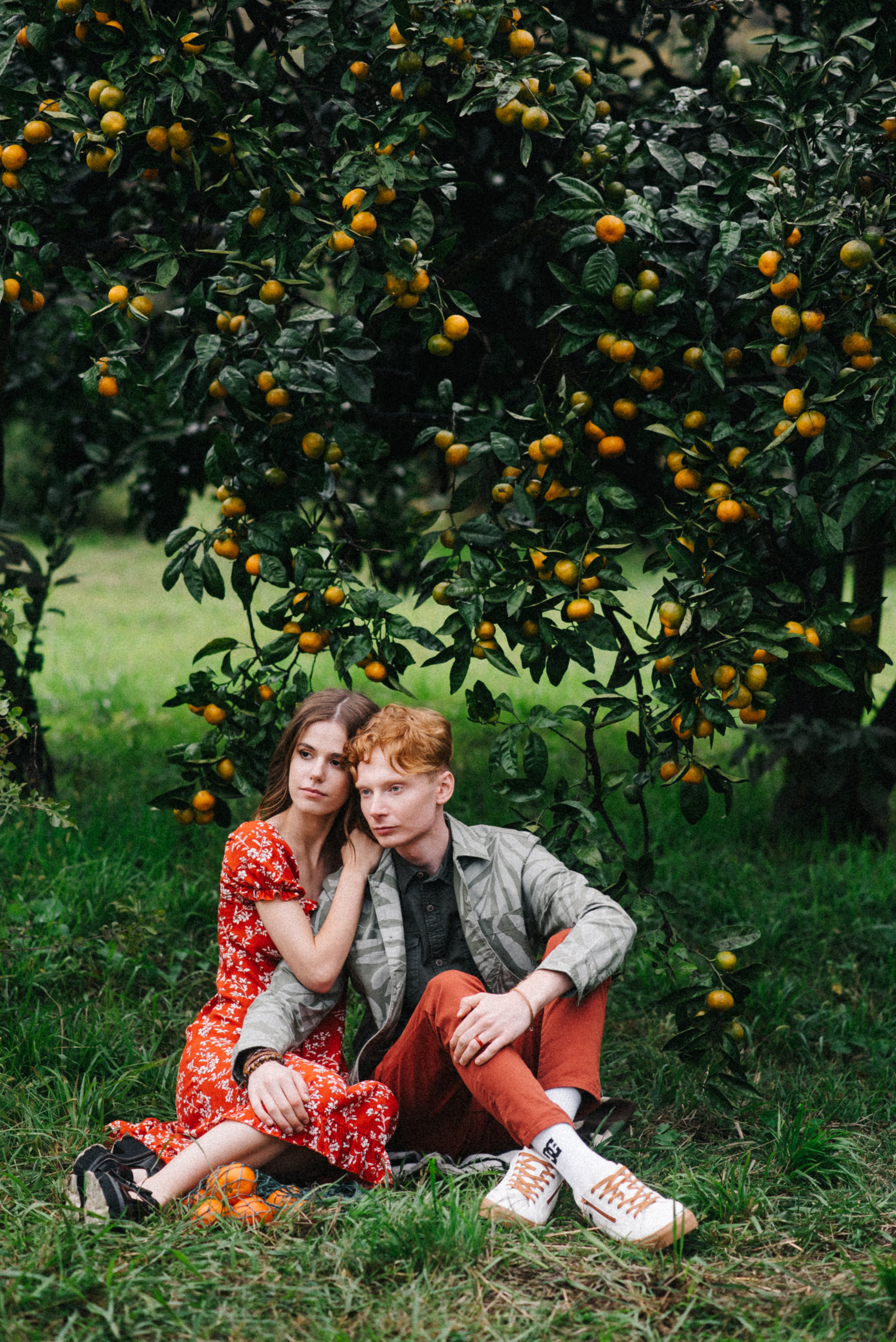 Фотосессия Love story в мандариновом саду. Софья и Арсений