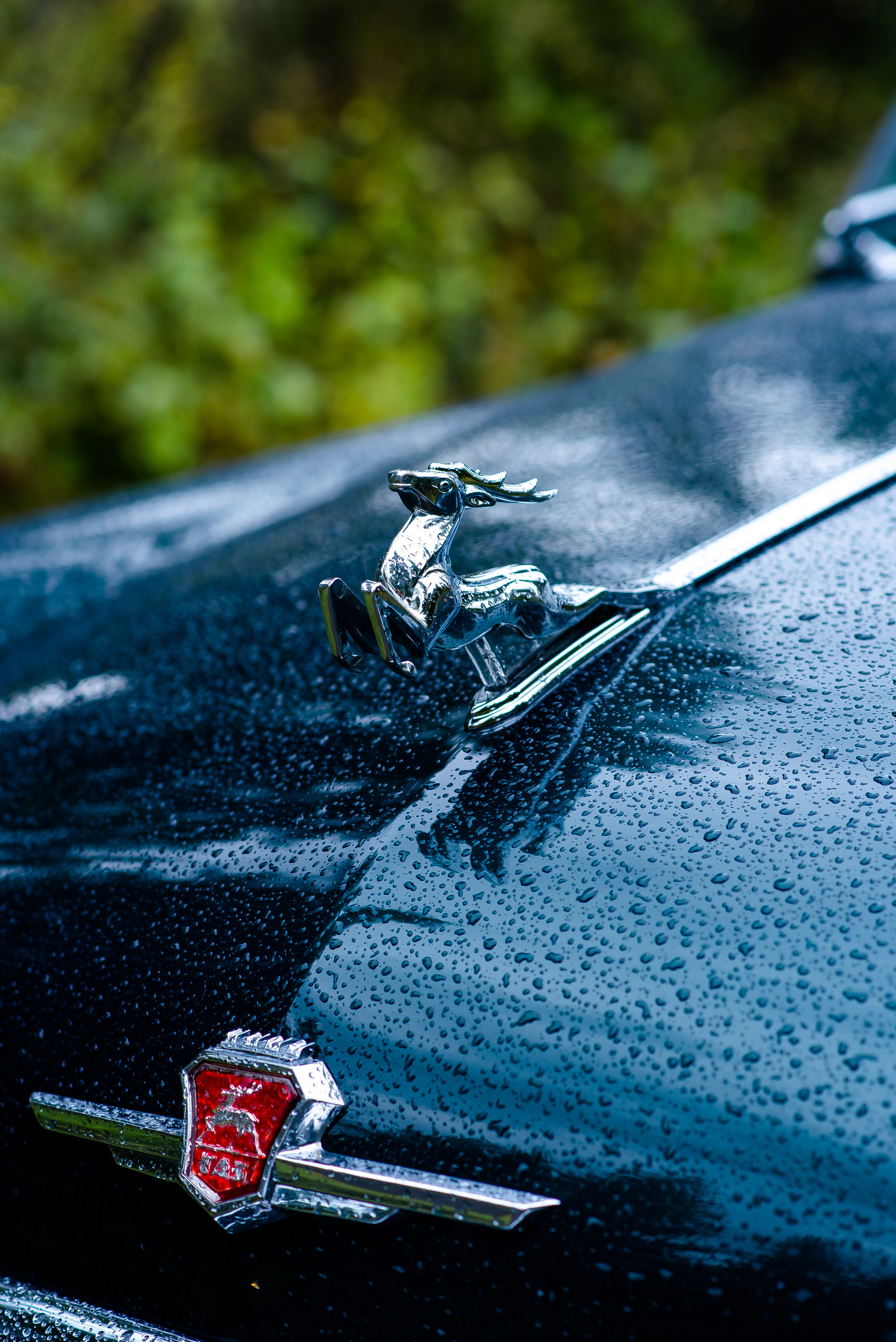 Свадьба с нотками ретро — Мария и Михаил