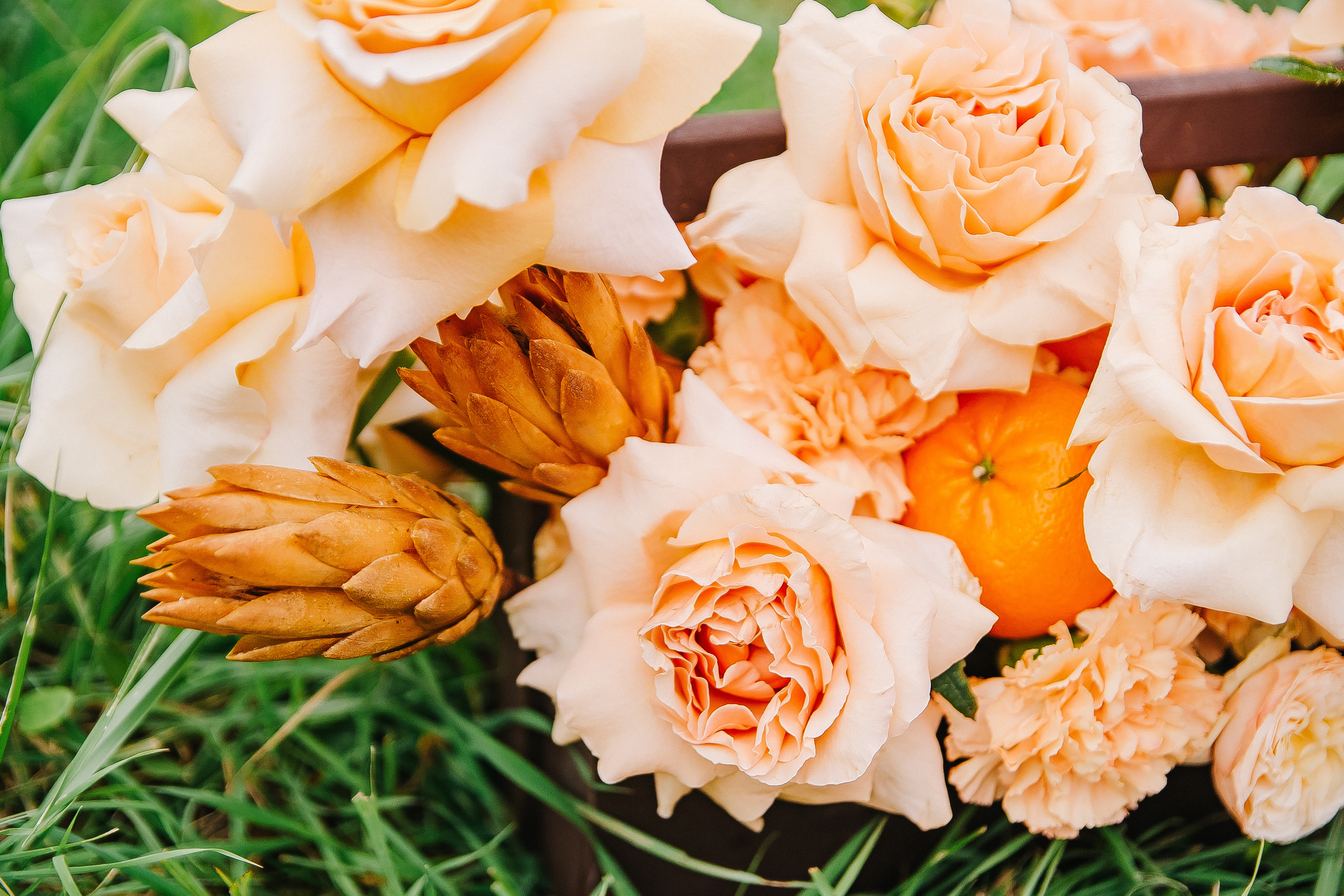 Свадебная фотосессия в мандариновой роще — Павел и Мария