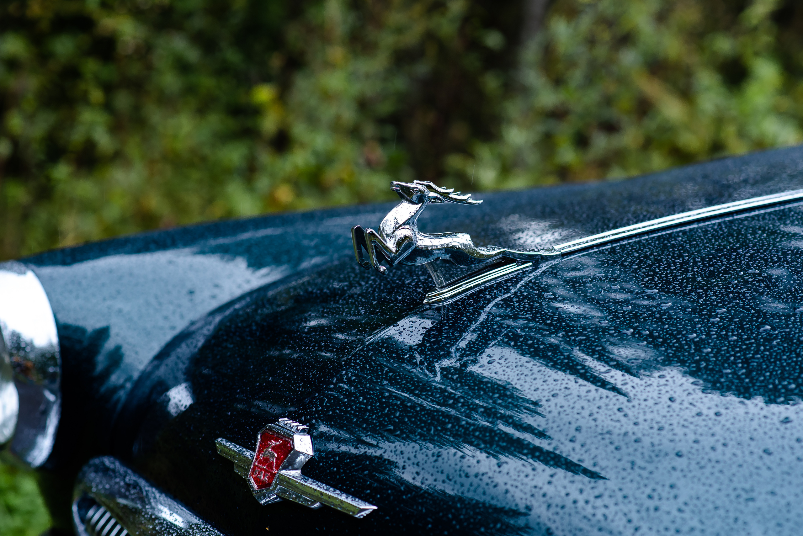 Свадьба с нотками ретро — Мария и Михаил