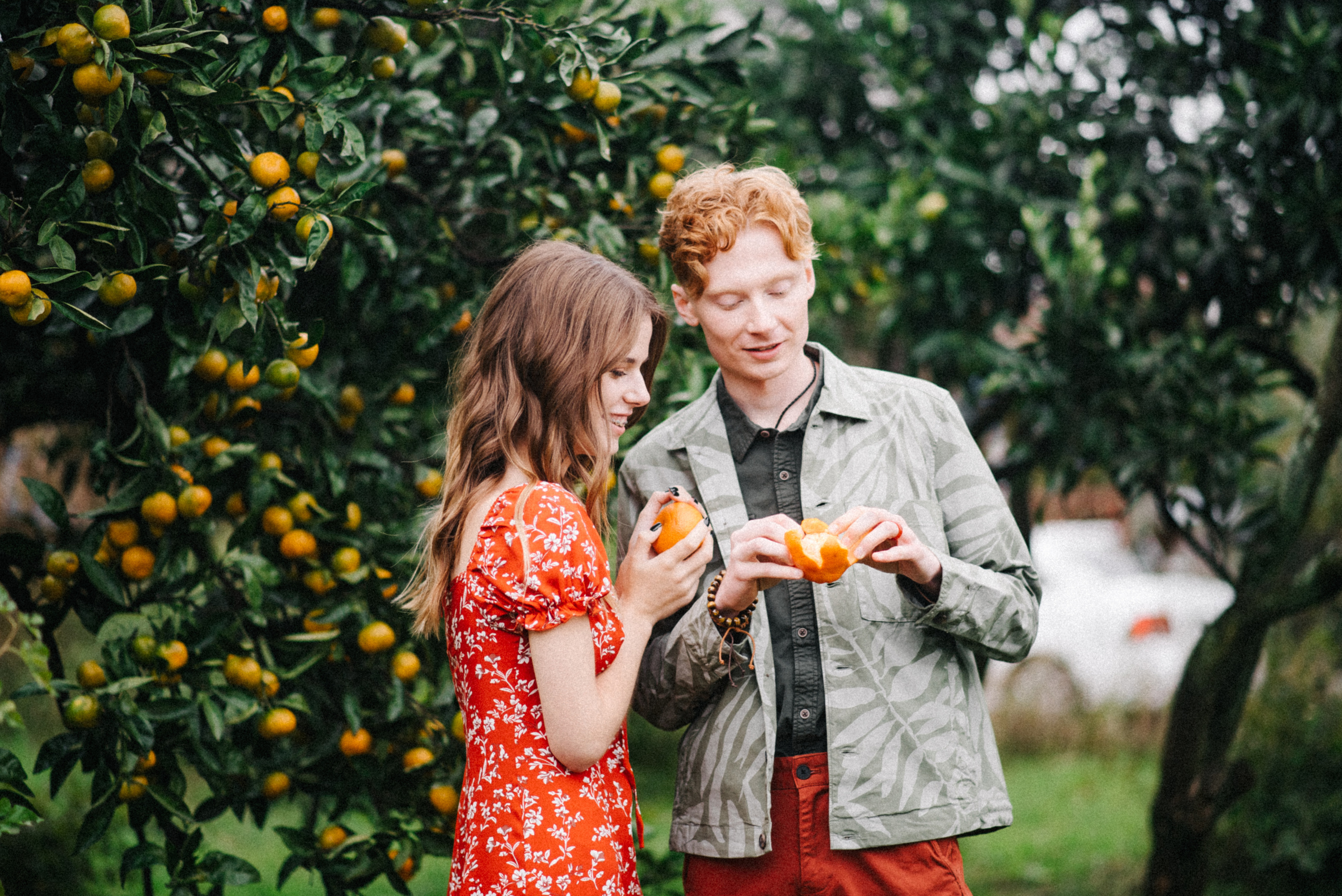Фотосессия Love story в мандариновом саду. Софья и Арсений