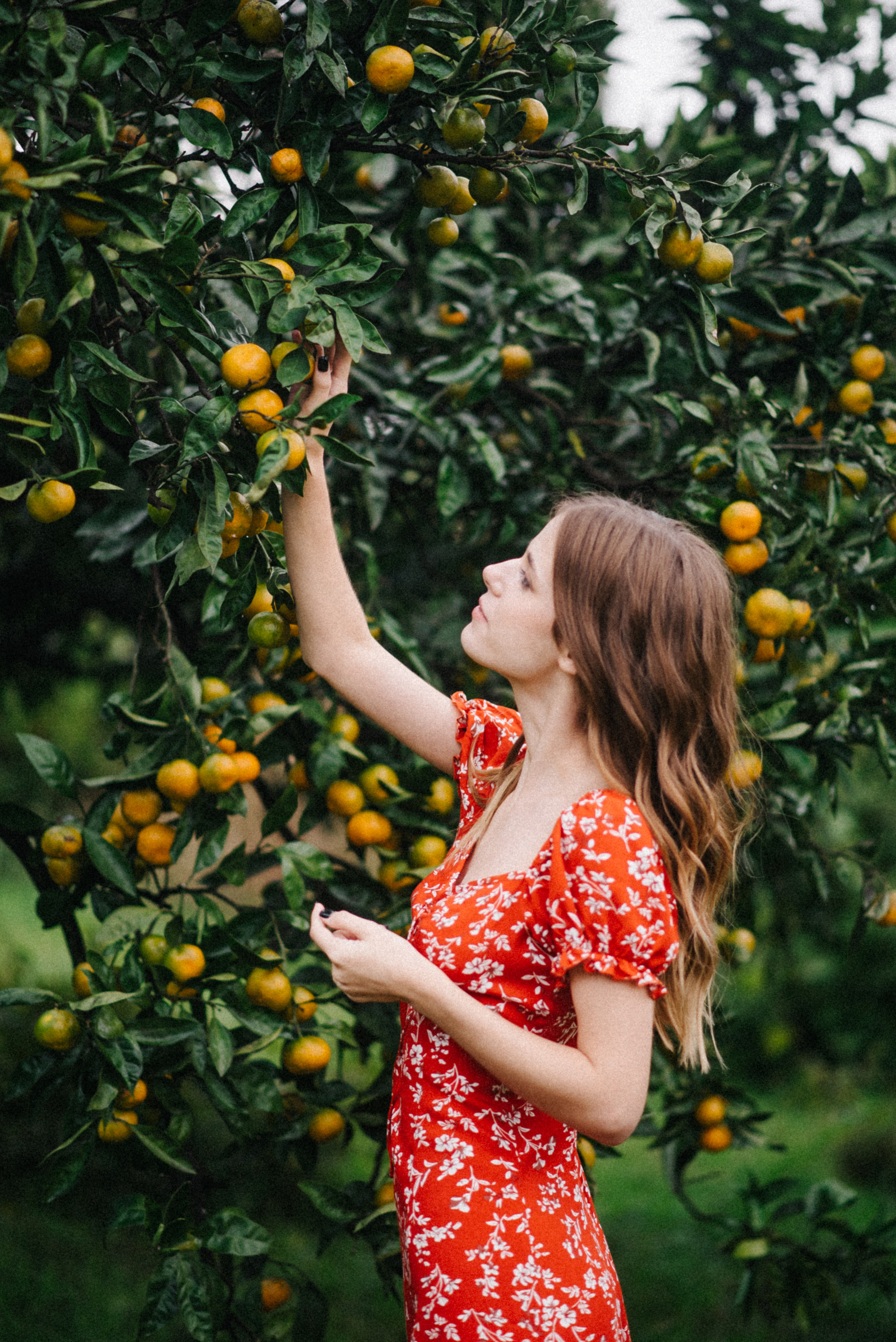 Фотосессия Love story в мандариновом саду. Софья и Арсений