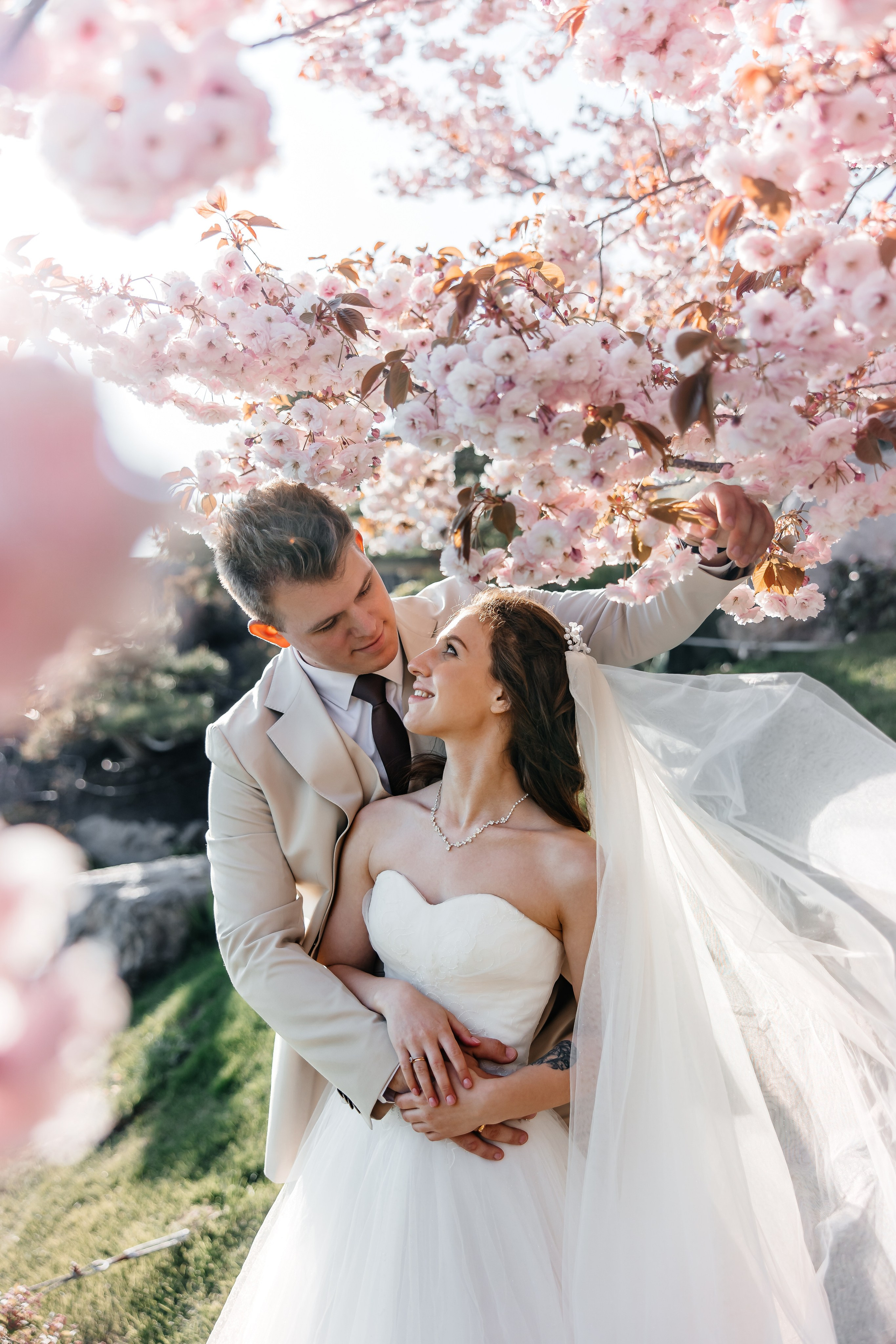 Сакура в Японском саду. Анонс свадьбы для Никиты и Марины. Свадебный фотограф в Крыму и Севастополе Ольга Баскакова