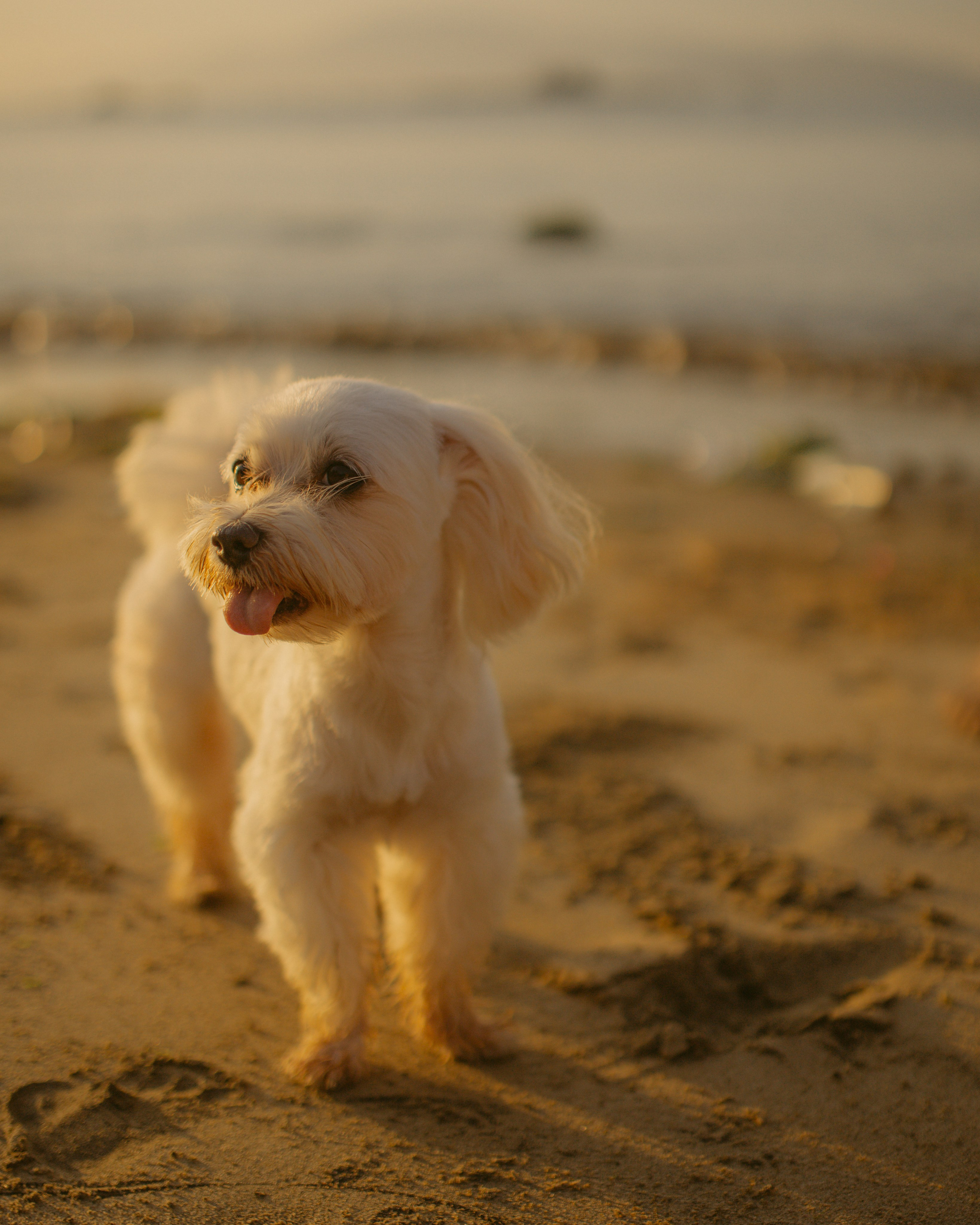 Анастасия и ее Пират.Нячанг. Главная