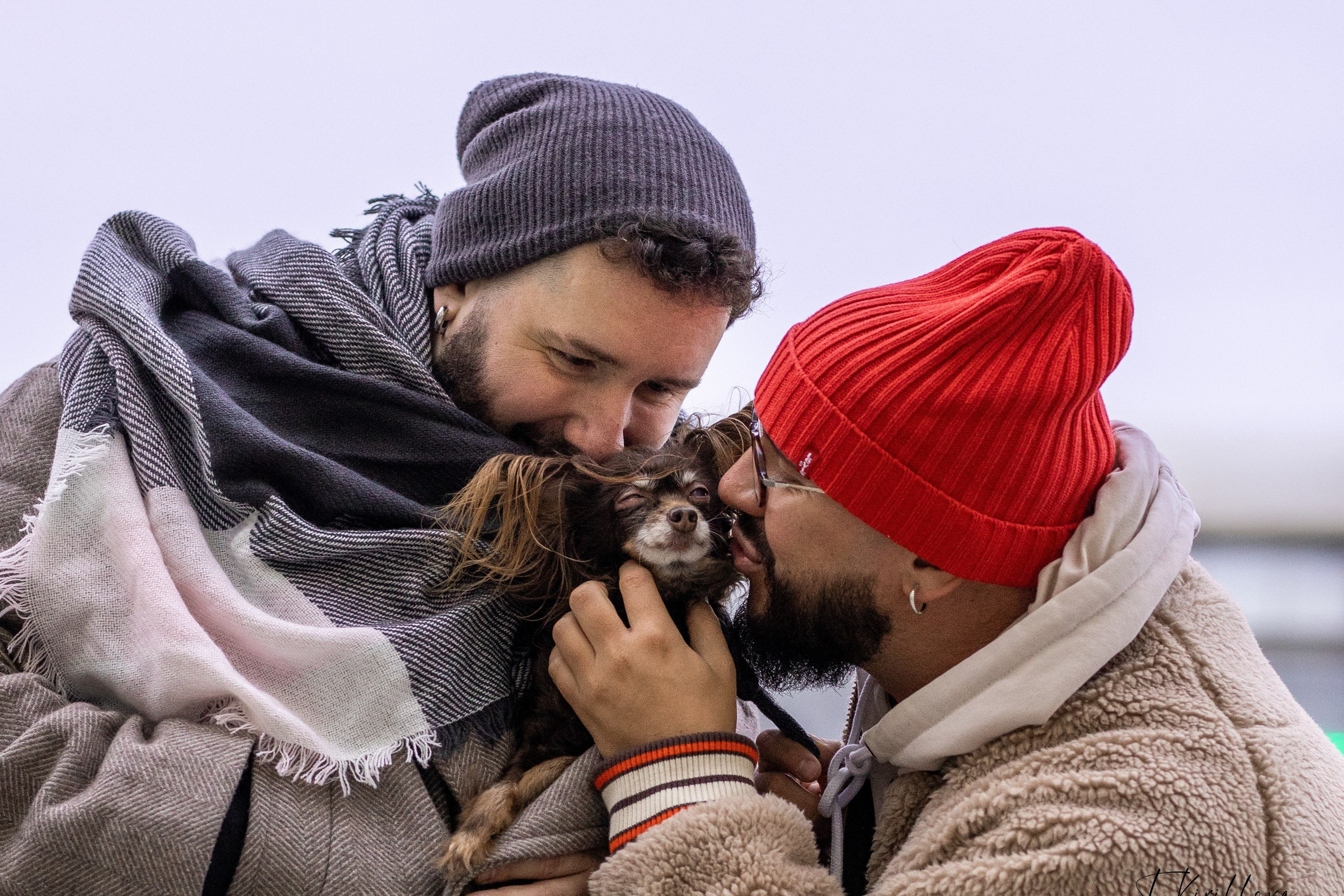 Фотограф-анималист в Москве Кириллова Татьяна