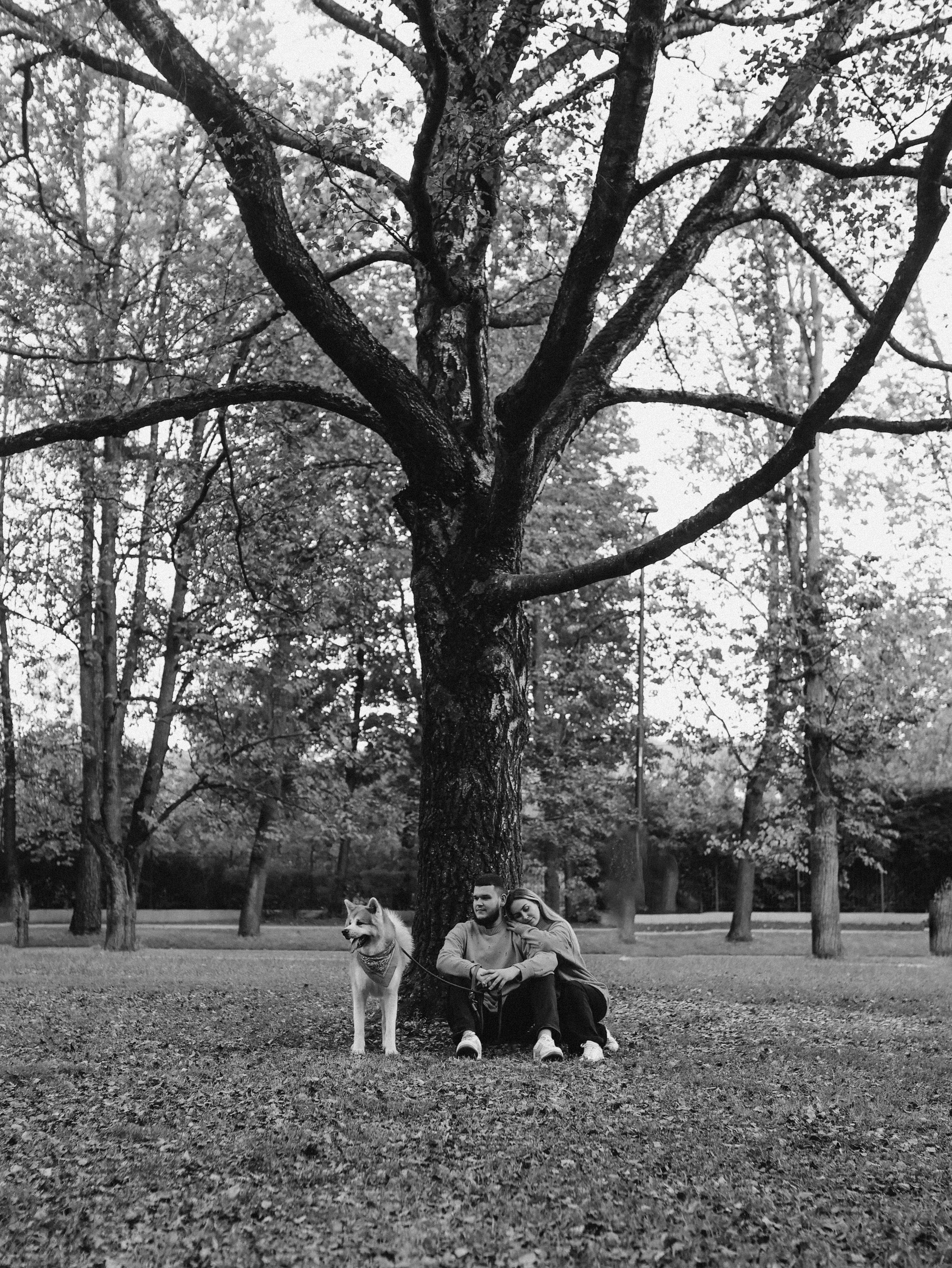 Гранд, Вика и Степан. Фотограф-анималист в Москве Кириллова Татьяна