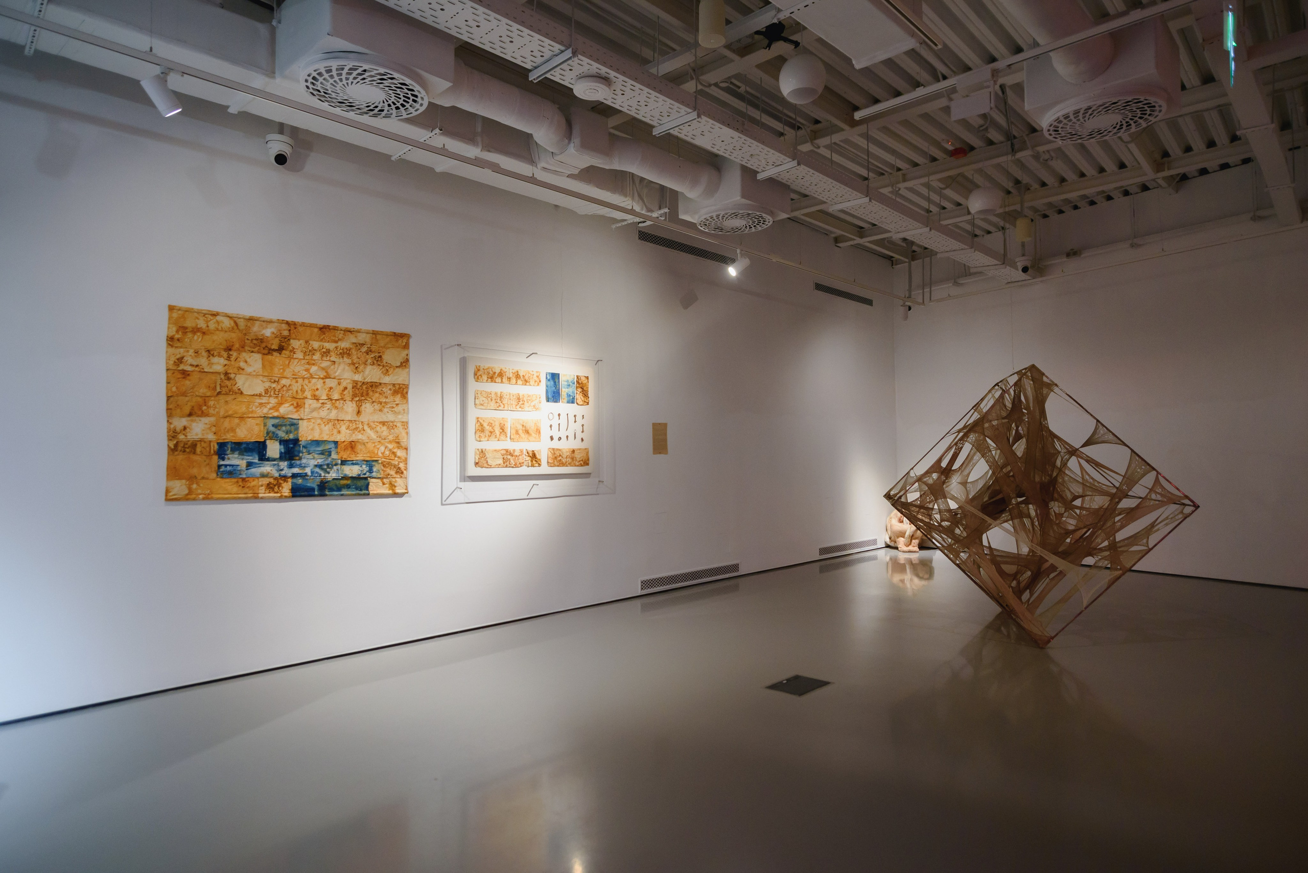 Выставки. Фотограф Руслан Хафизов