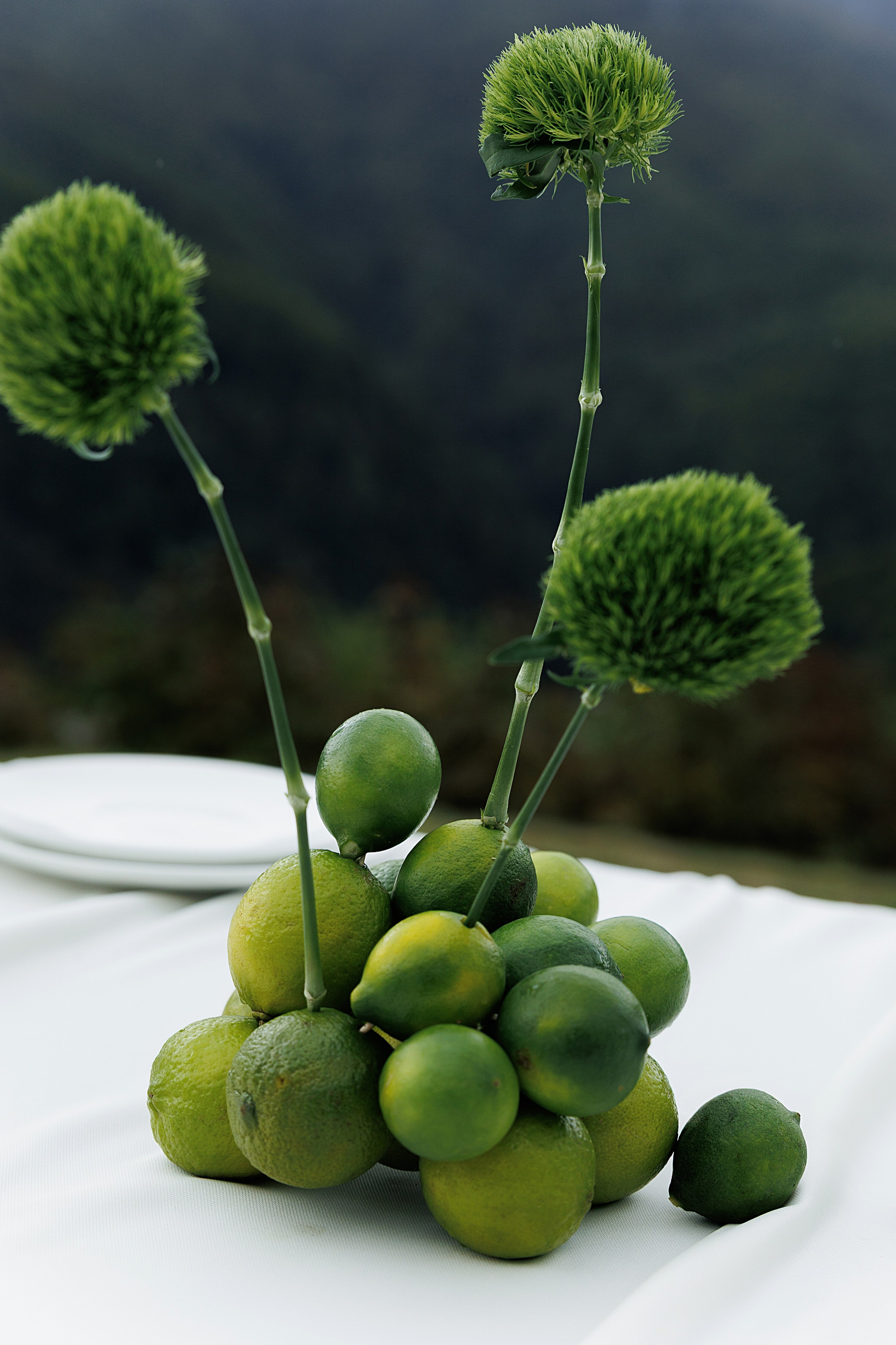 Дмитрий и Мирослава. Свадебное агентство «LUKHMANOVA.Weddings&Events»