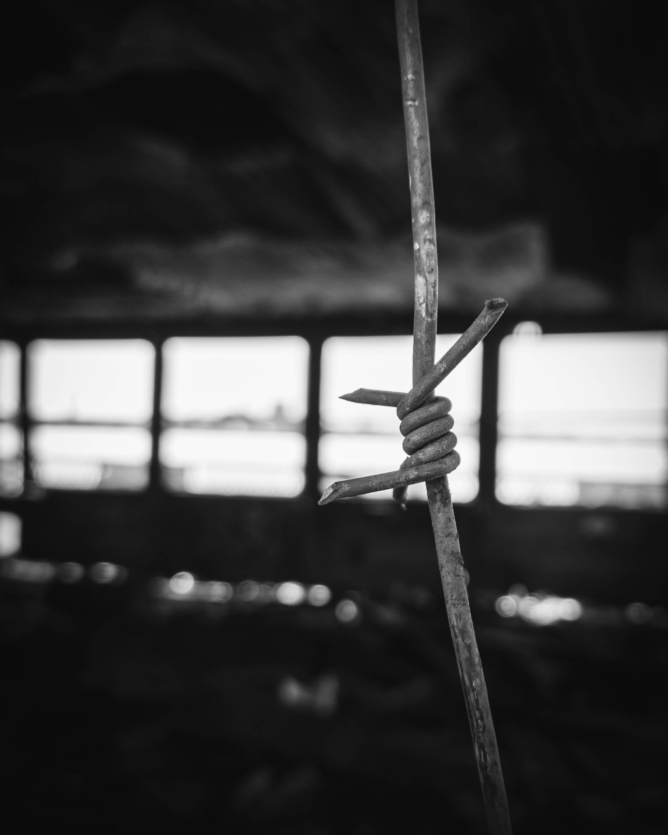 Эстетика ебеней. Олег Романов. Мастер фото по спорту