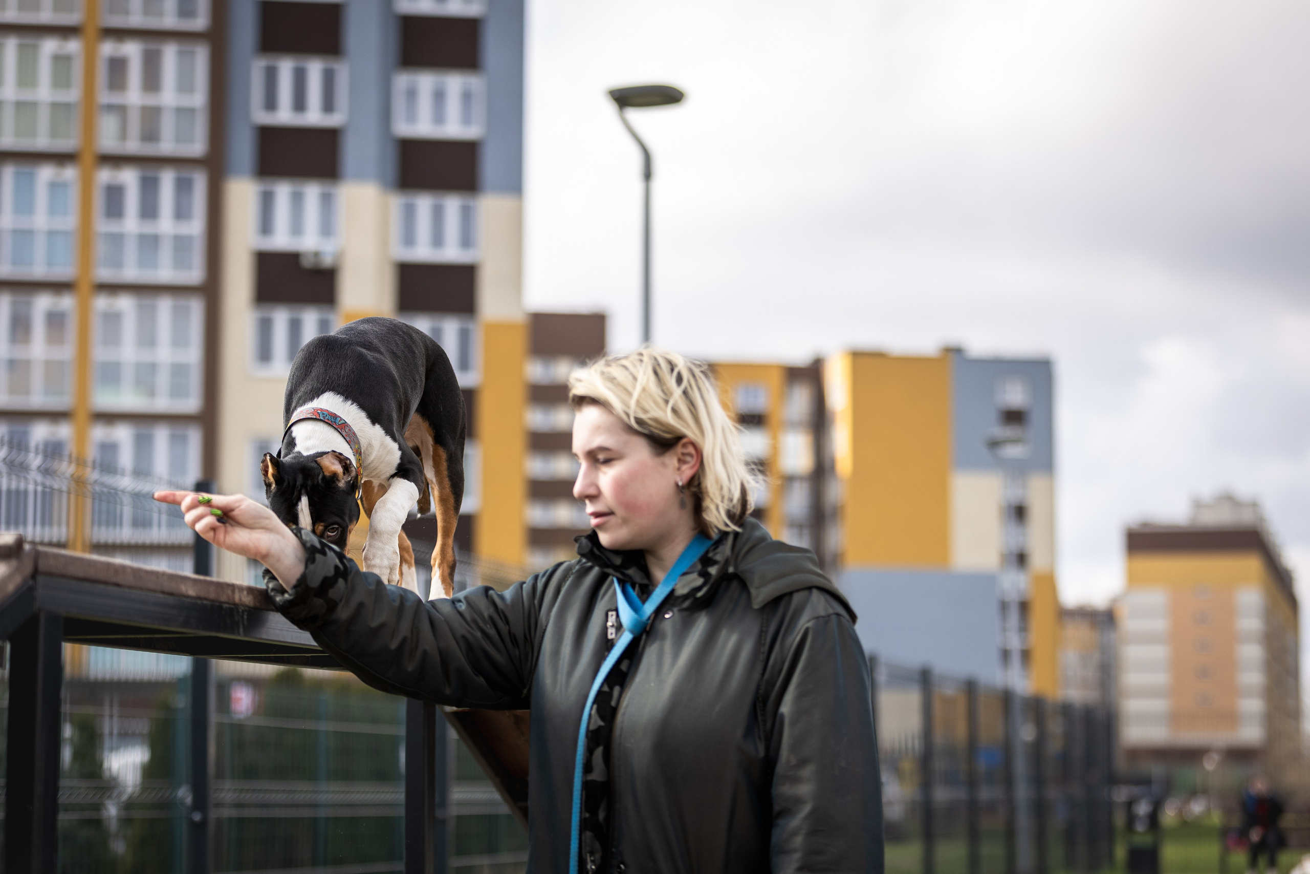 Догтуса 24.03.2024. Ирина Голомб|Фотограф-анималист в  Сочи и Калининграде