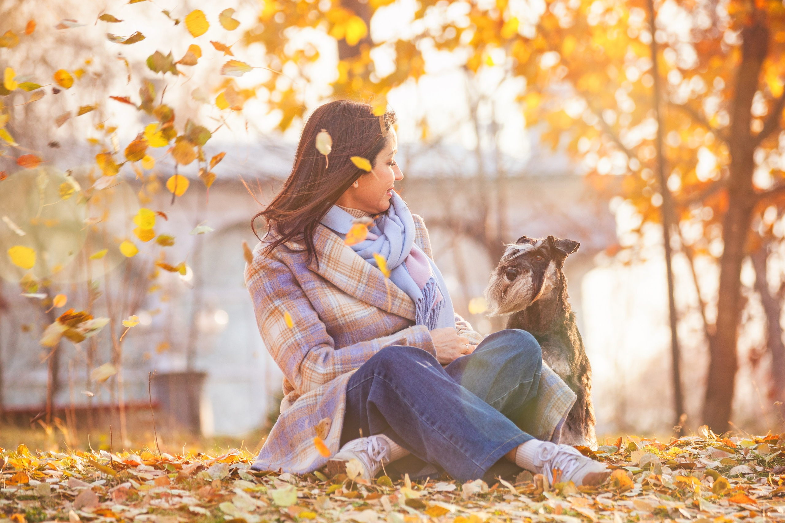 Люди и питомцы. Slavilada-Лапки. Свет. Любовь… Профессиональная фотосессия питомцев Для памяти, пристройства и продажи. Хабаровск