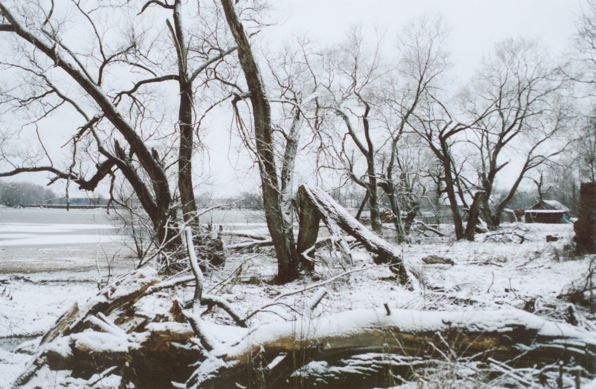 Art Series. Елена Цихон художник фотографии и мастер фото-ДНК