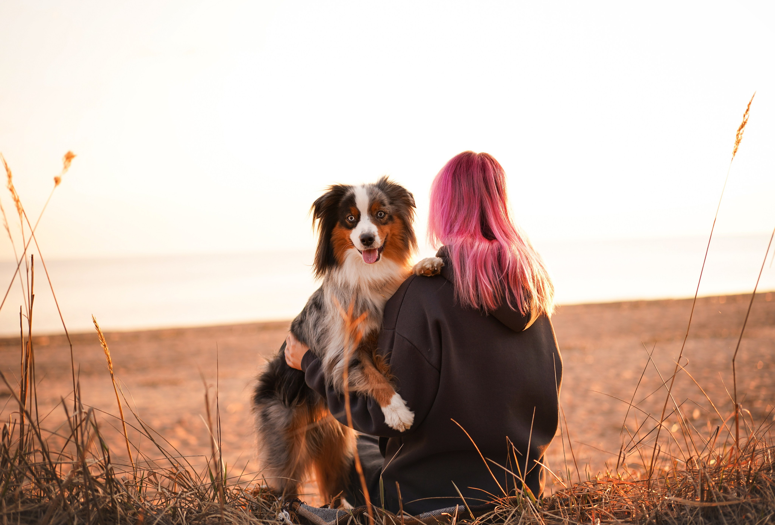 Алиса и Джокер. Фотограф-анималист в Санкт-Петербурге Яна Мартынова