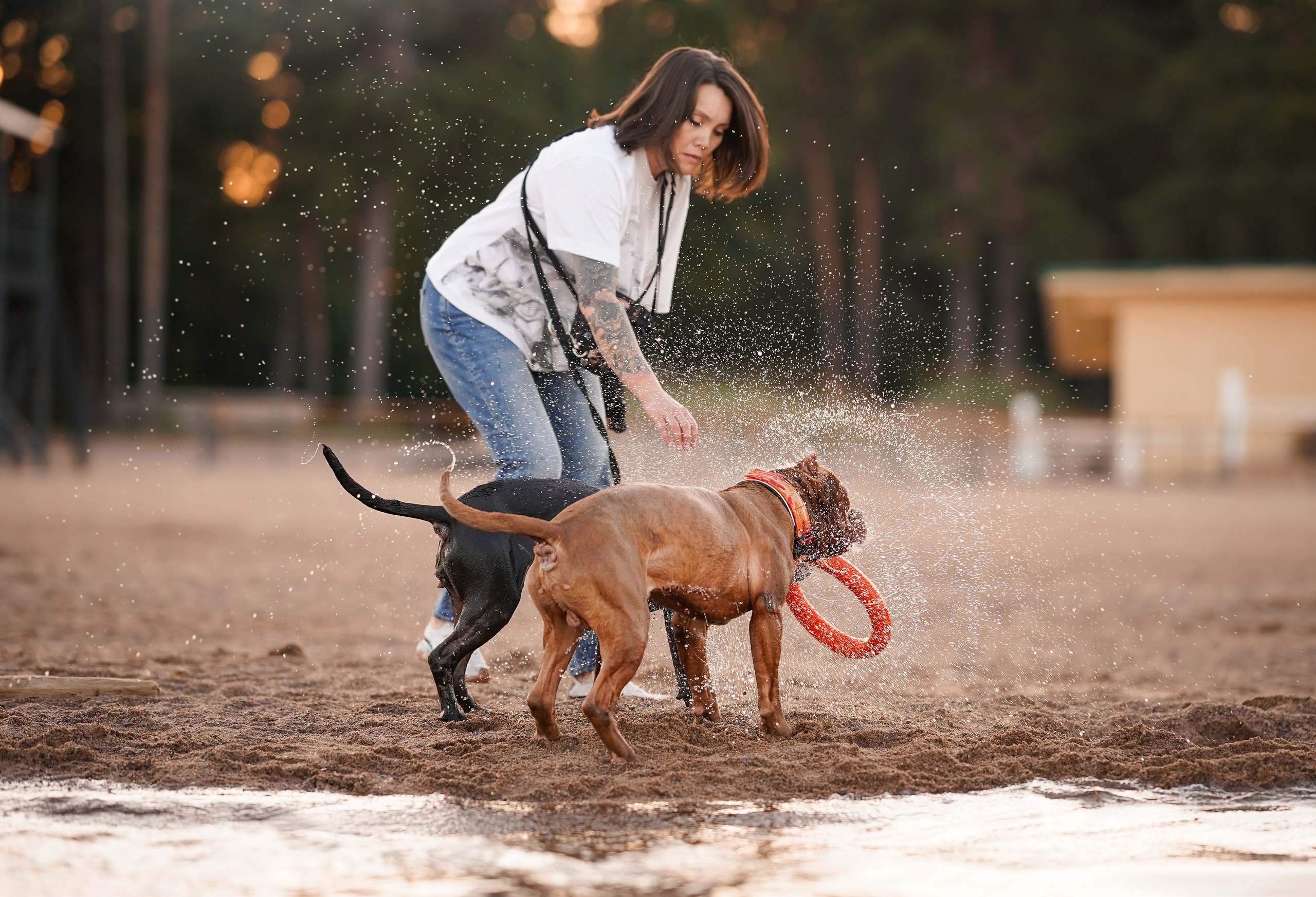 Татьяна Изи и Джем. Фотограф-анималист в Санкт-Петербурге Яна Мартынова
