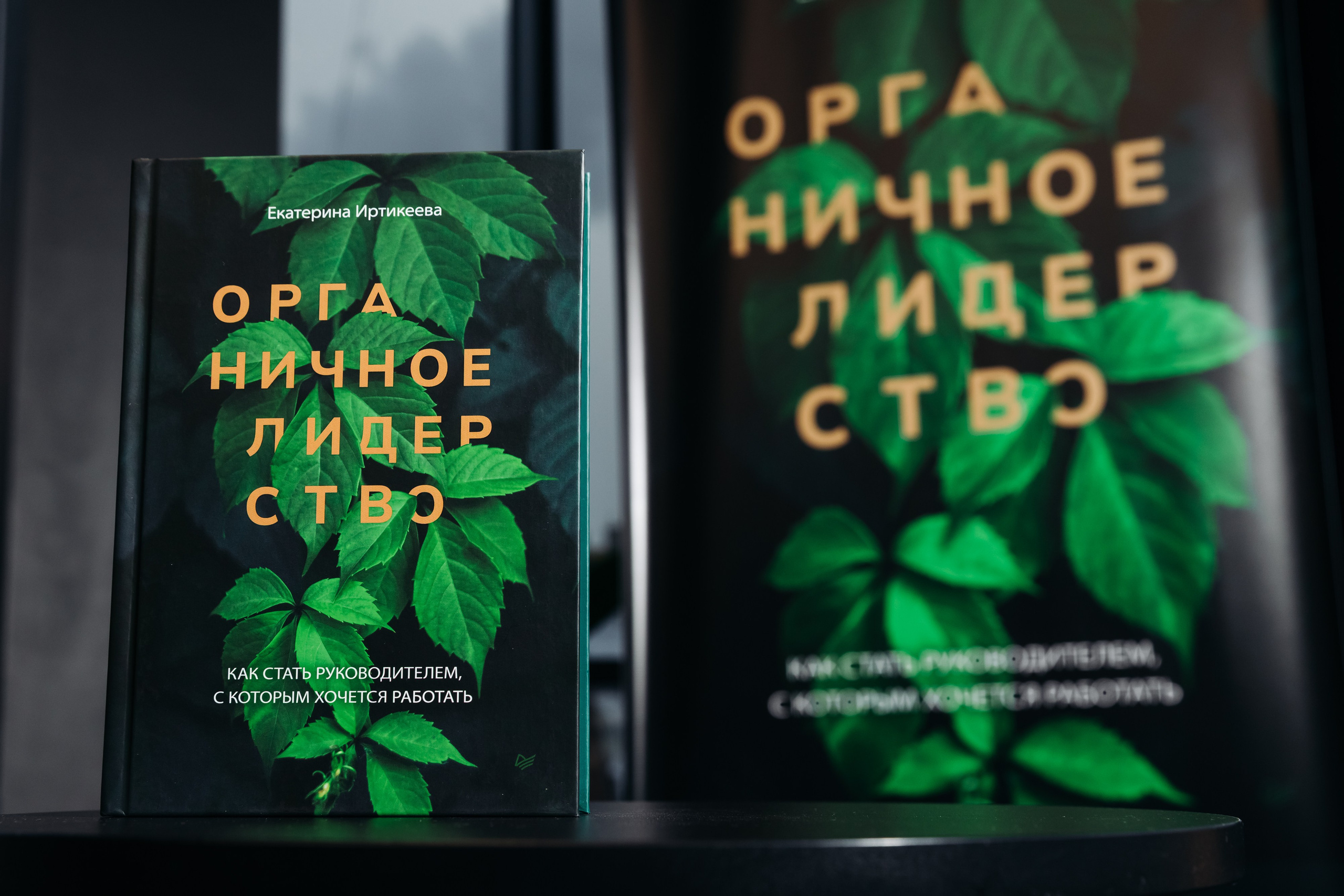 ПРЕЗЕНТАЦИЯ КНИГИ. Коммерческий фотограф — Борис Суходольский