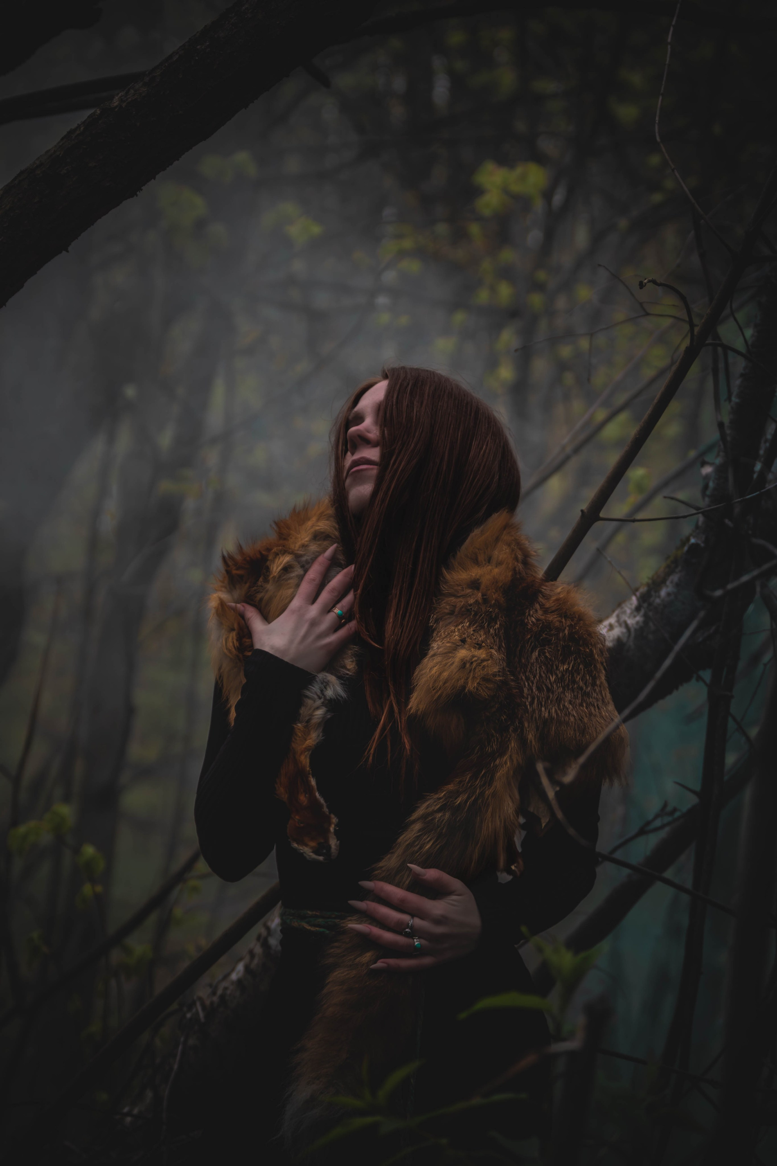 Художественные фотосессии Тула. Фотограф анималист — Тула, Москва