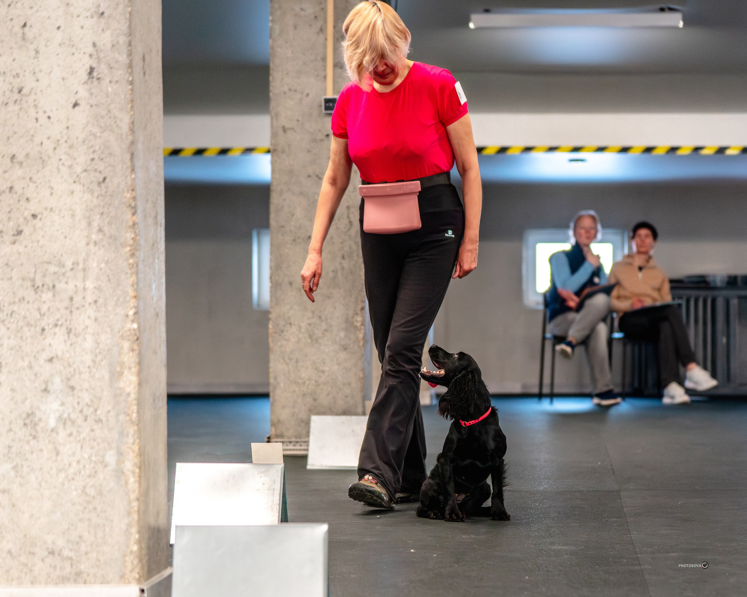 ТЫ И Я (соревнования по ралли-обидиенс). Фотограф-анималист, семейный фотограф в Москве и Подмосковье. Фотосъёмка кинологических дисциплин